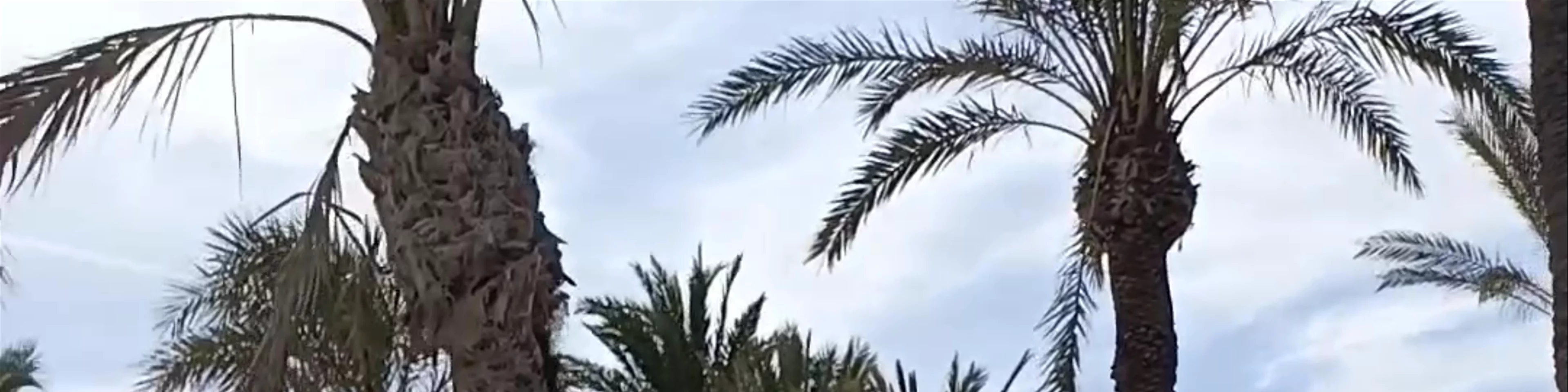 San Juan Playa