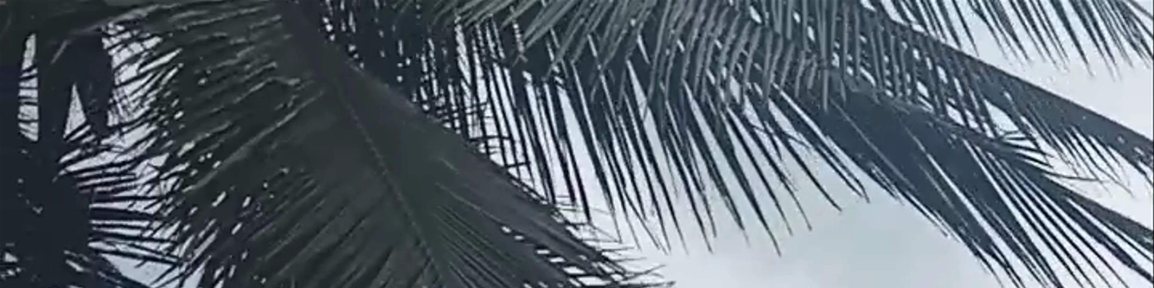 Ao Noi Beach Resort