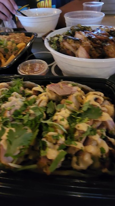Balo Kitchen - Taco, chicken and rice,  Dan Dan chili fries - Comfort Food Near Me - Annandale, Virginia
