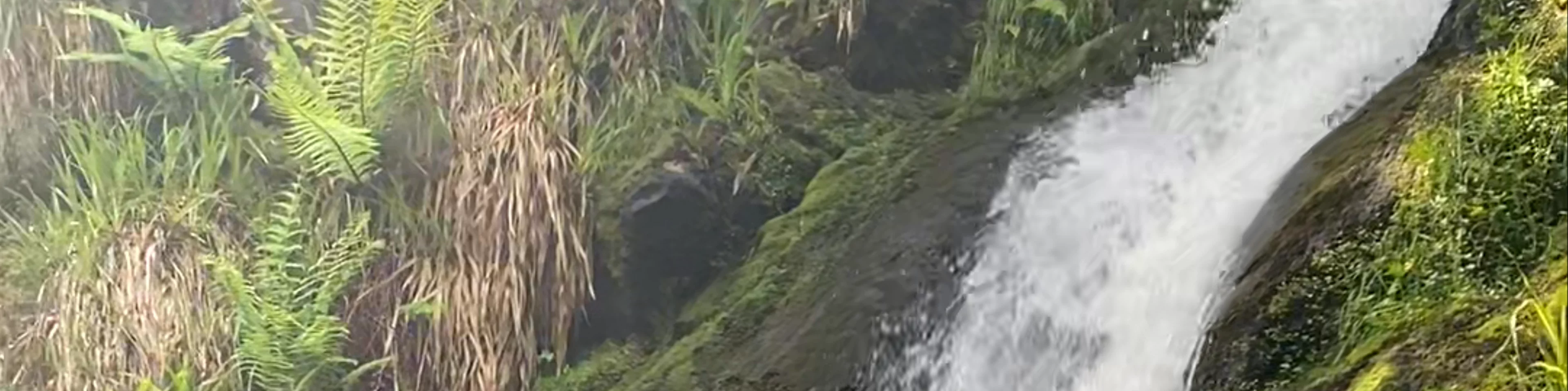 Linhope Spout Waterfall
