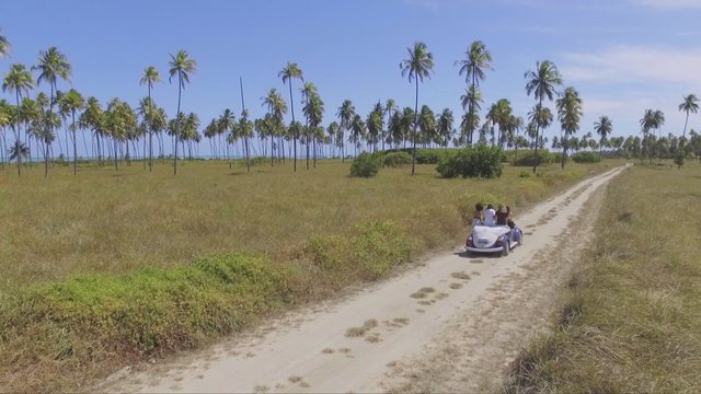 Amigos viajan en un escarabajo convertible en un entorno tropical