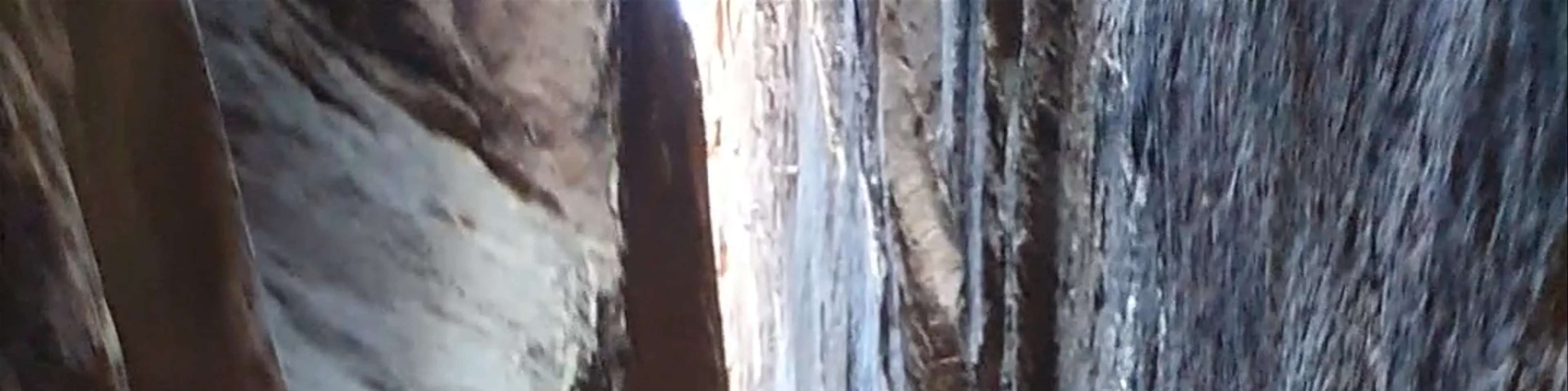 Joint Trail