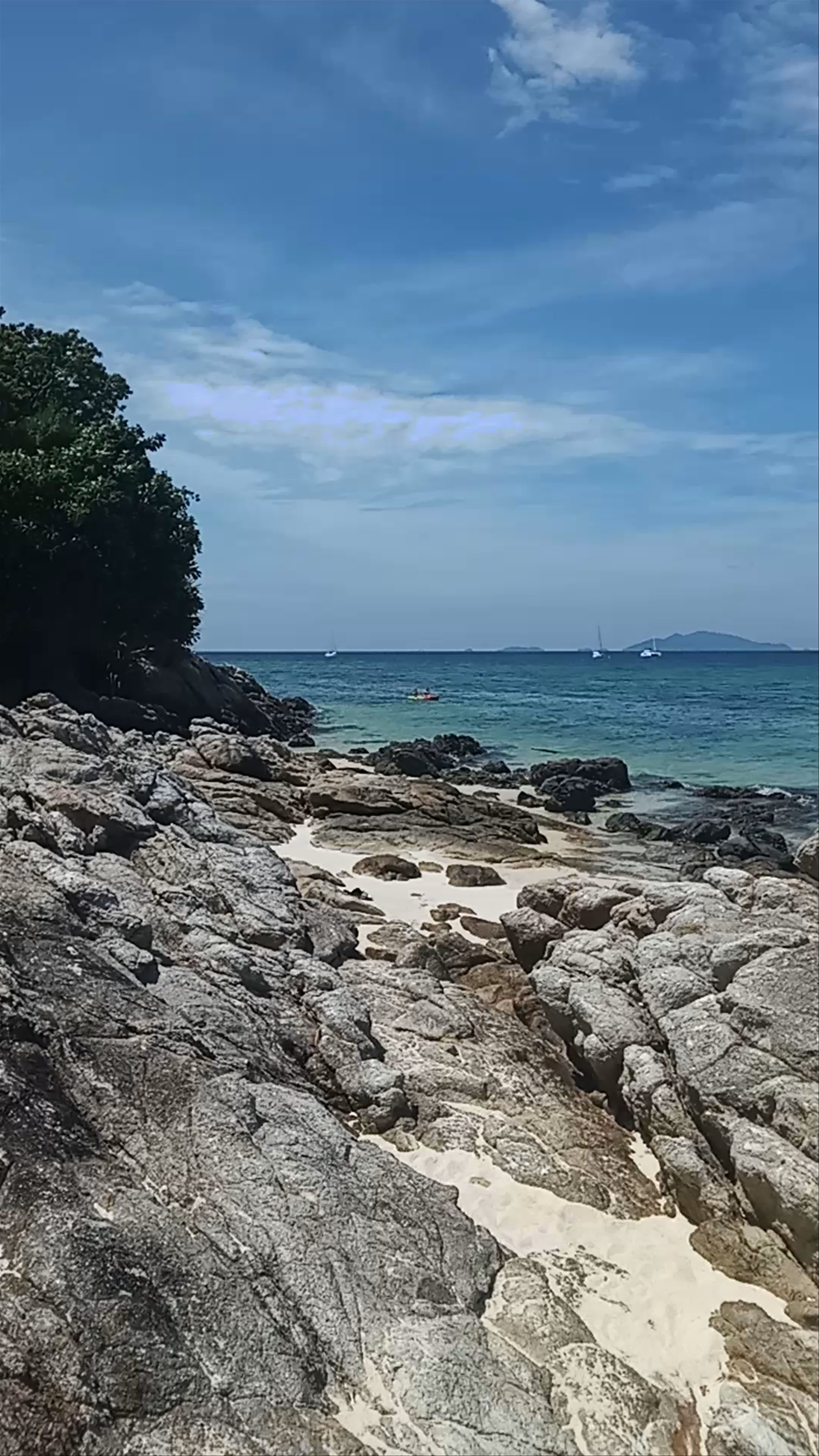 The Cliff Lipe