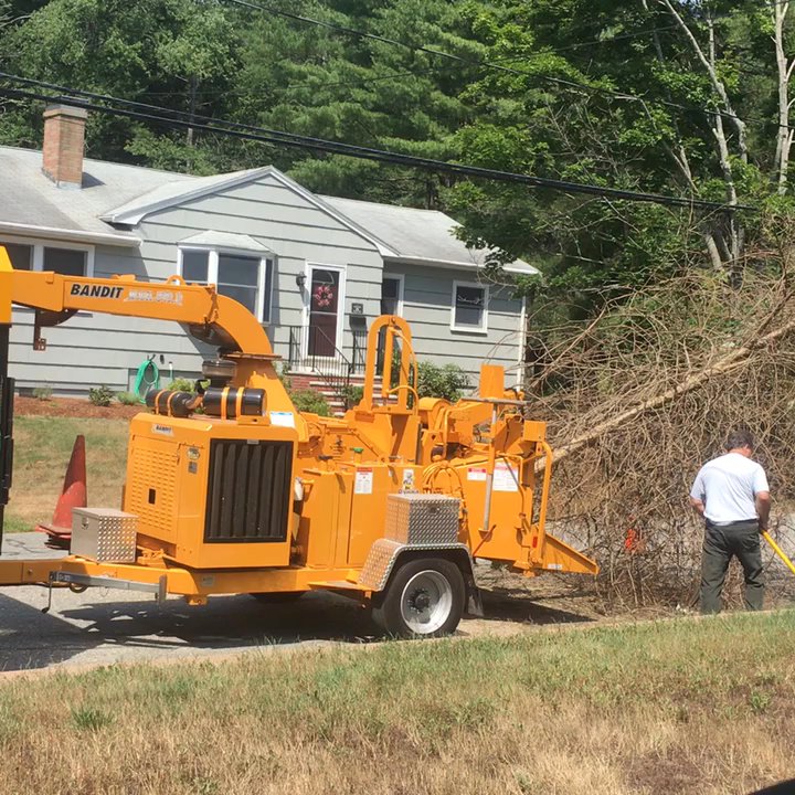 County Tree Service - Using the shredder on a tree - Tree Services Near Me