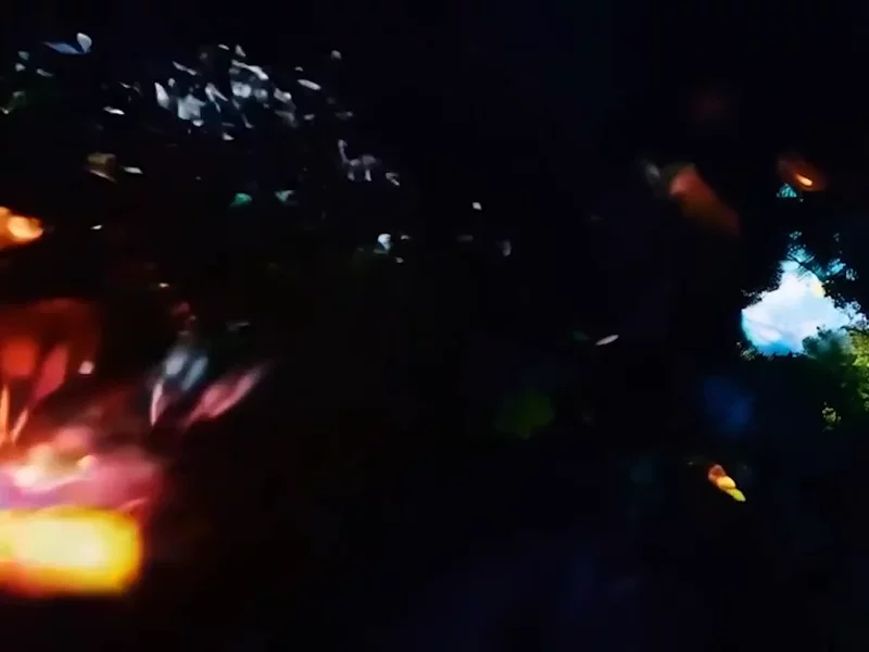 Intro Video