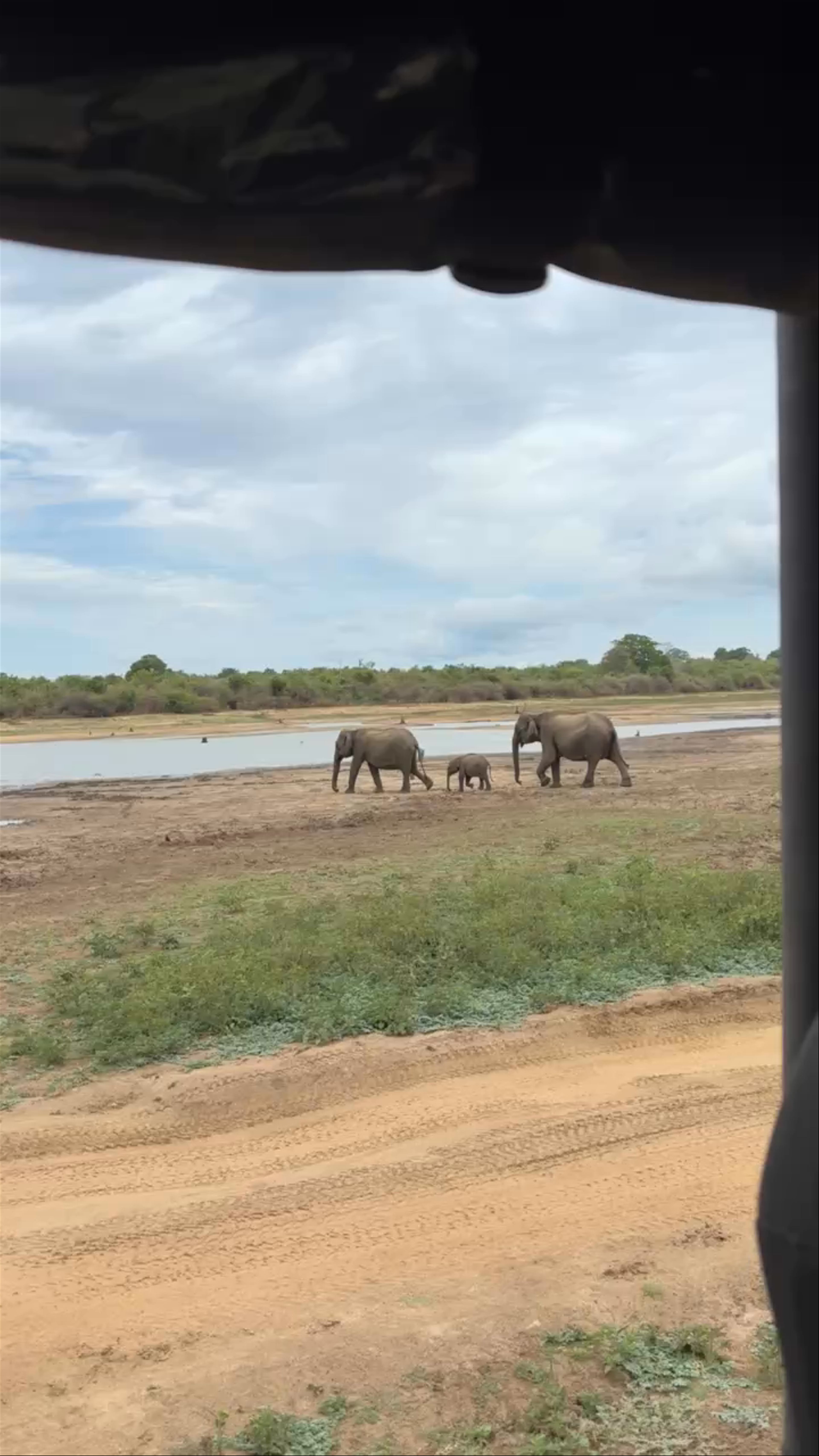 Udawalawe National Park