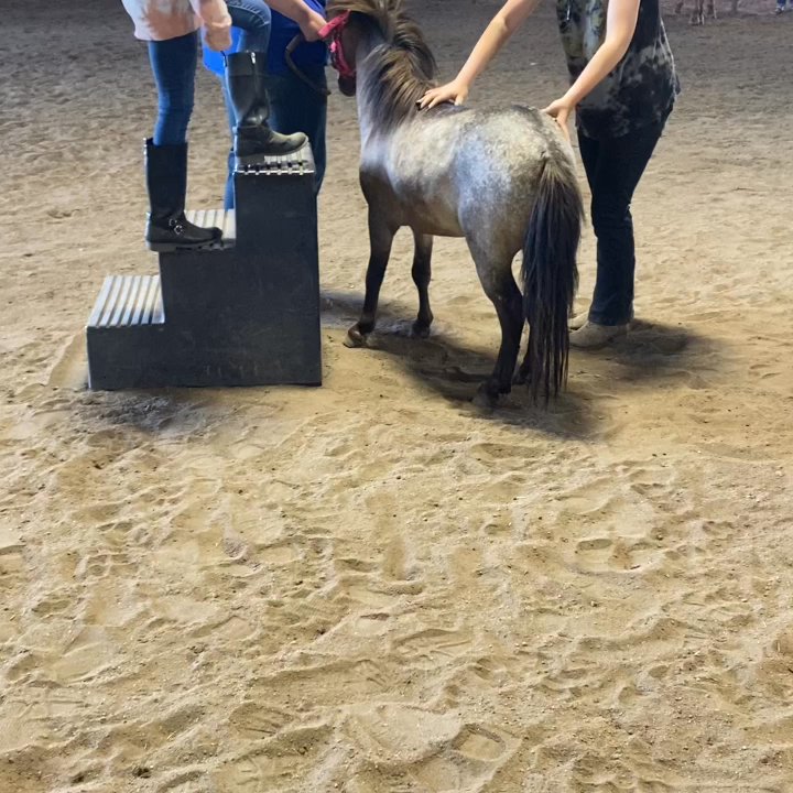 Singletree Stables - Horseback Riding Near Me - Wichita, Kansas