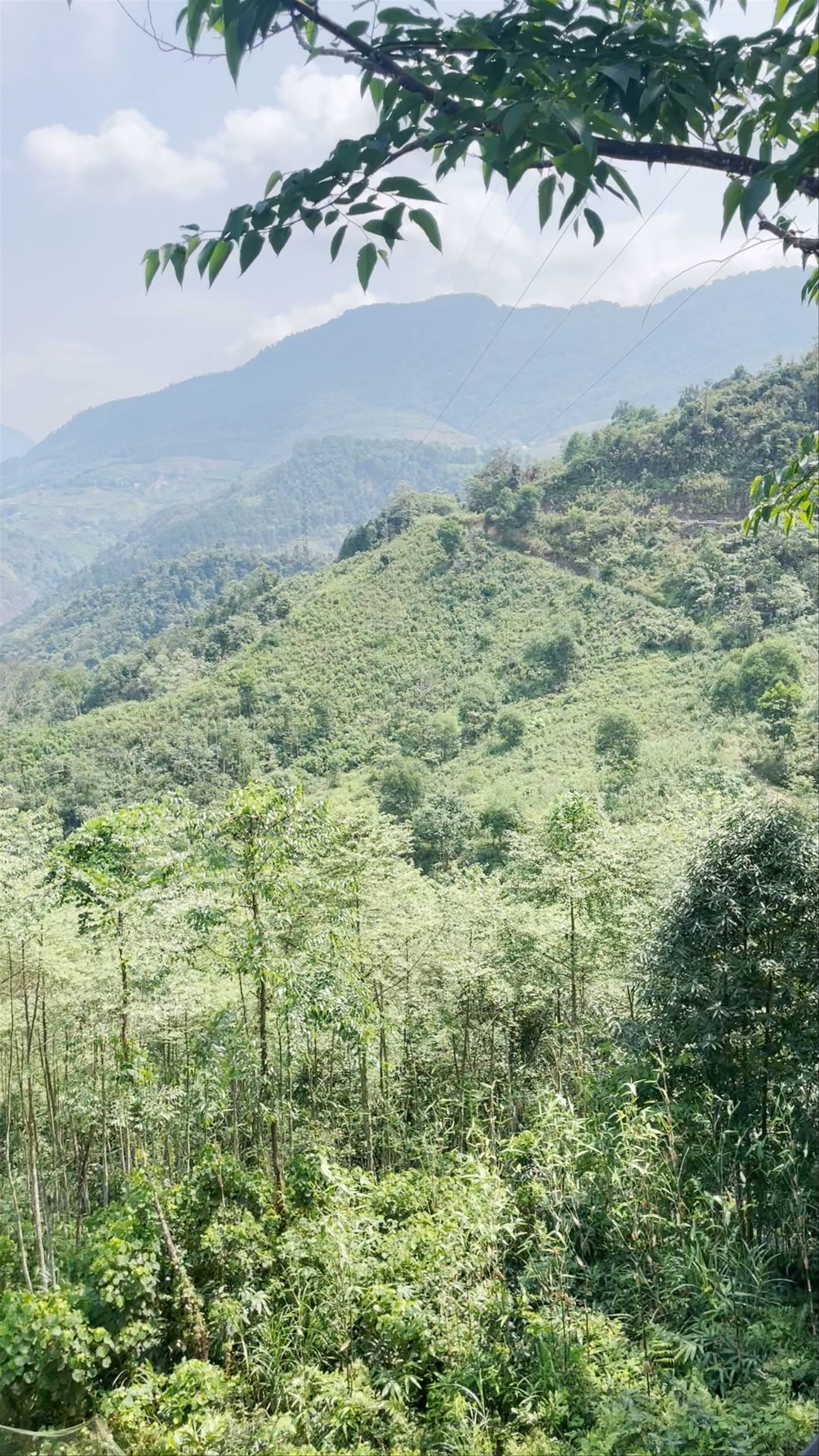 Lotus Hostel Ha Giang Loop