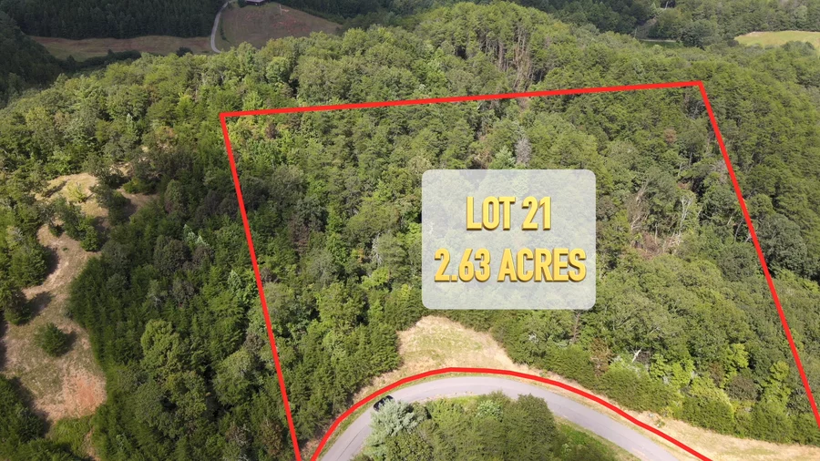 Lot 21 video poster