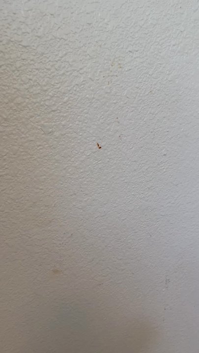 Da-Cotton Klining Services - dirty walls that we needed to clean ourselves - Home Cleaning Near Me - Honolulu, Hawaii