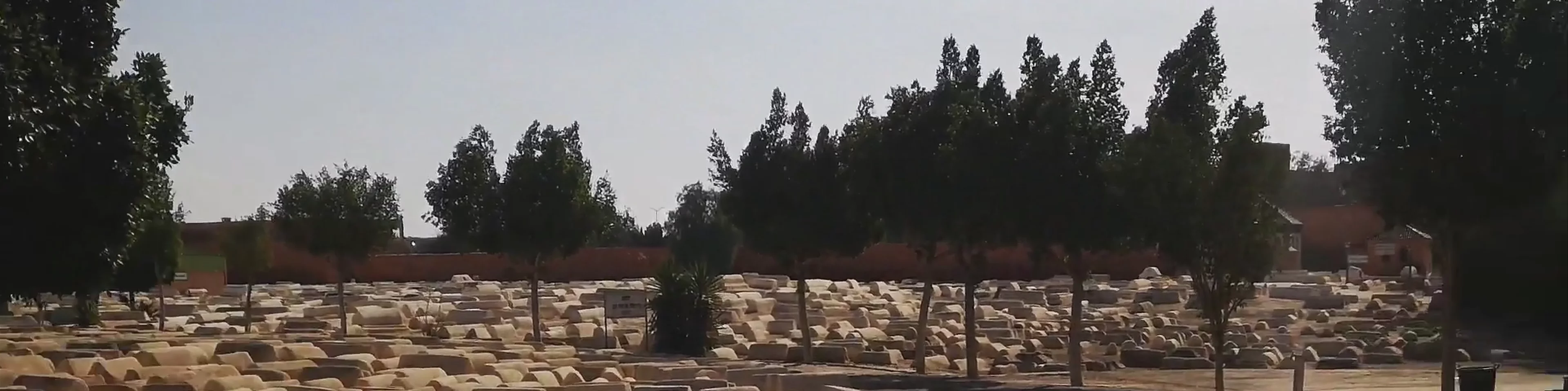 old Jewish cemetery "Miaara"