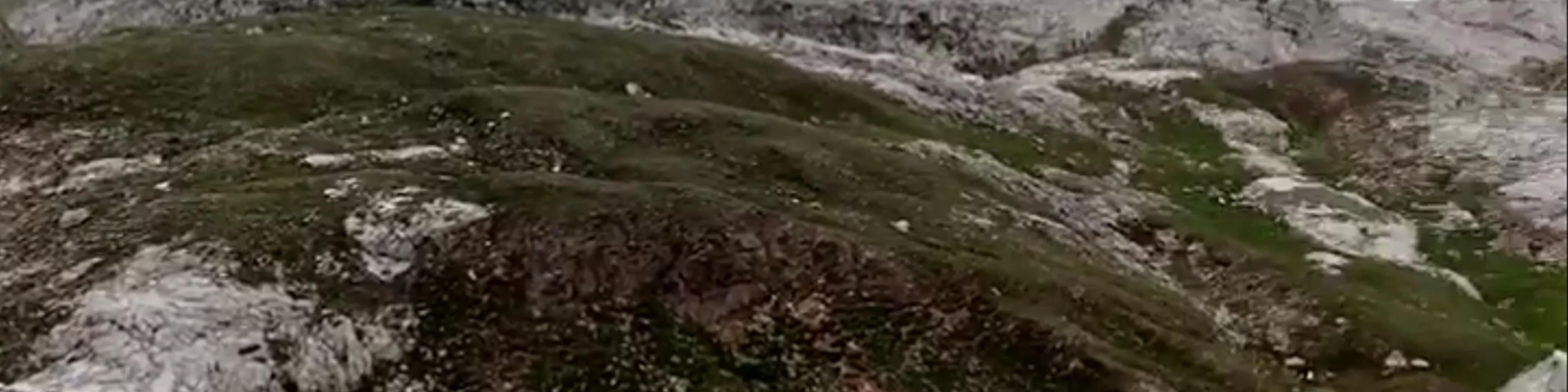 Parque Nacional de Los Picos de Europa