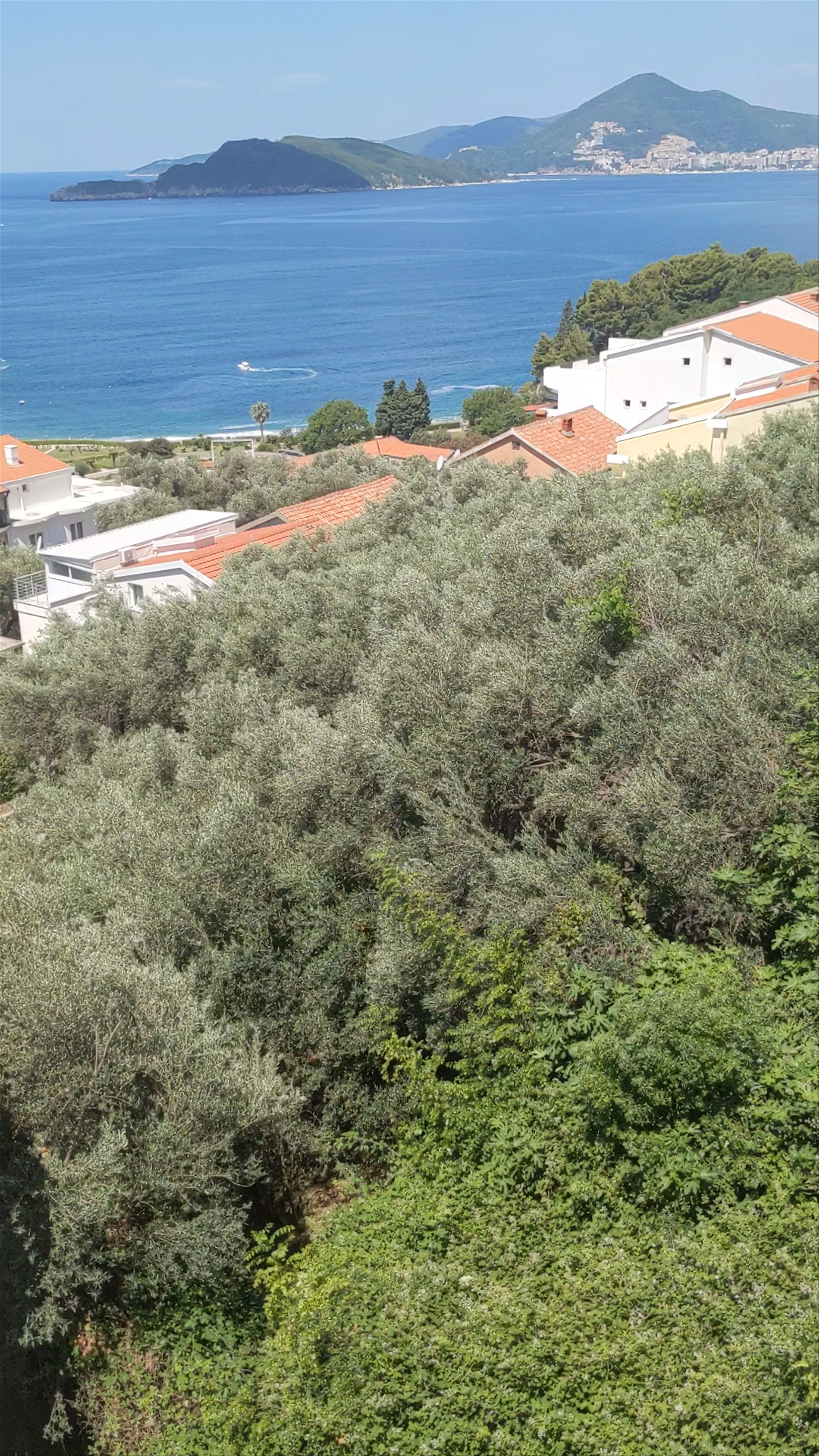 Sveti Stefan Island: Mediterranean Serenity and Timeless Beauty