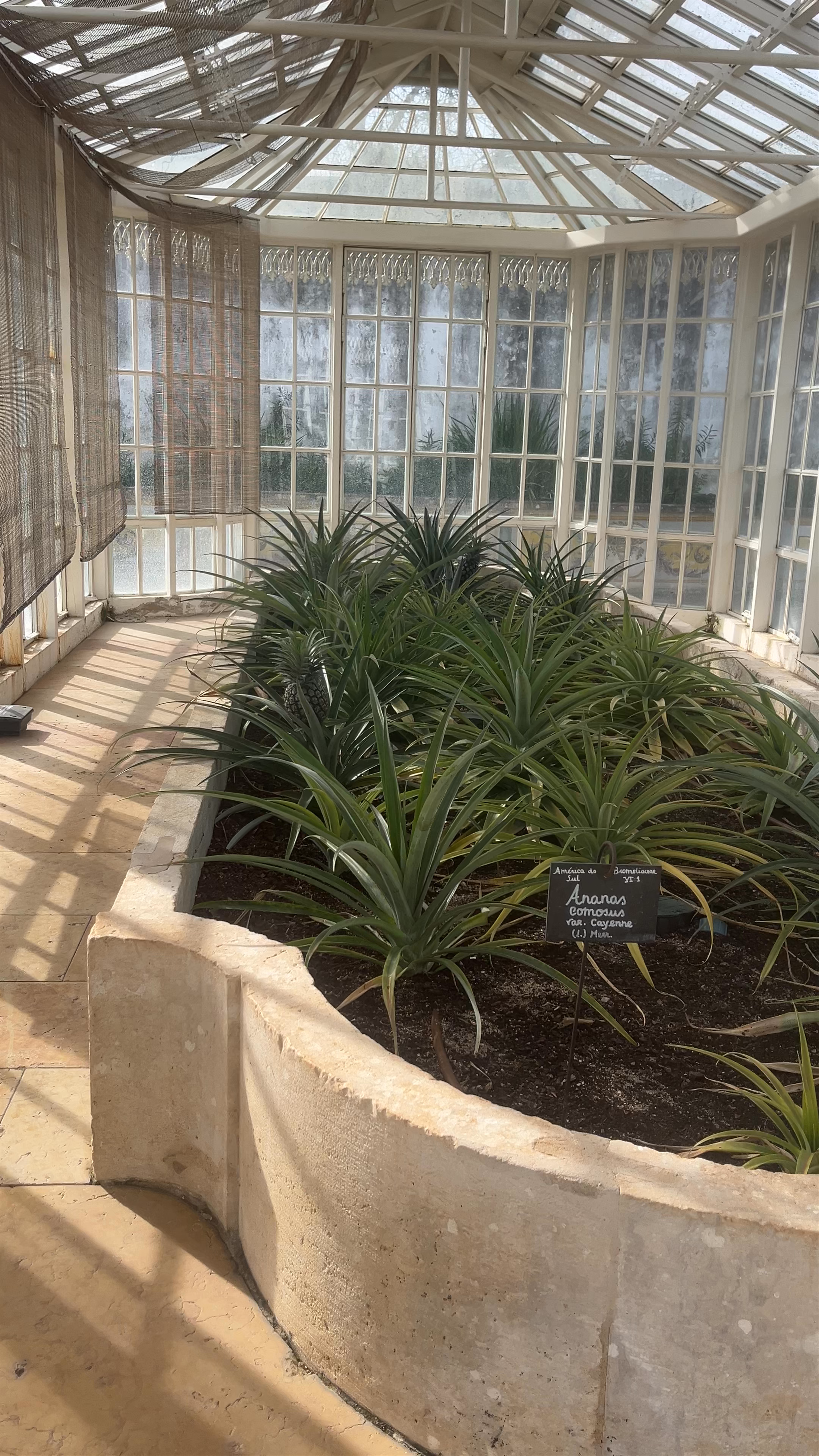 Palácio Nacional e Jardins de Queluz