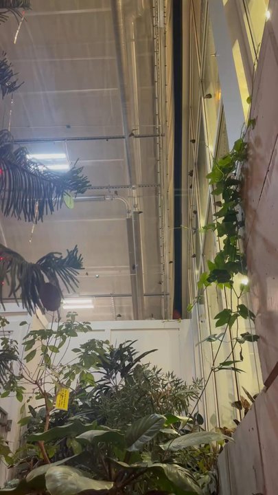Butterfly Biosphere - Children's Museums Near Me - Lehi, Utah