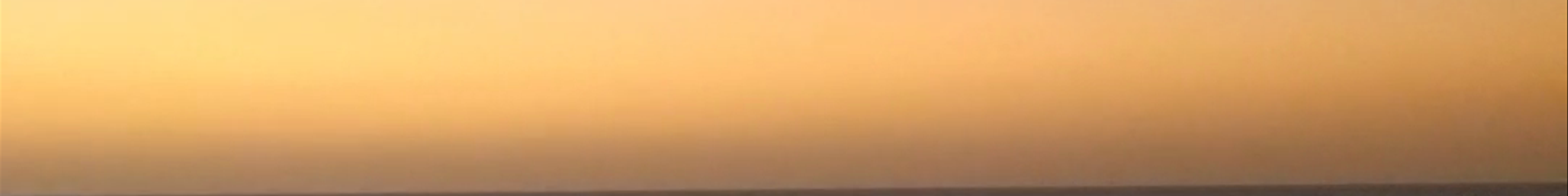 Tours & experiences in Israel