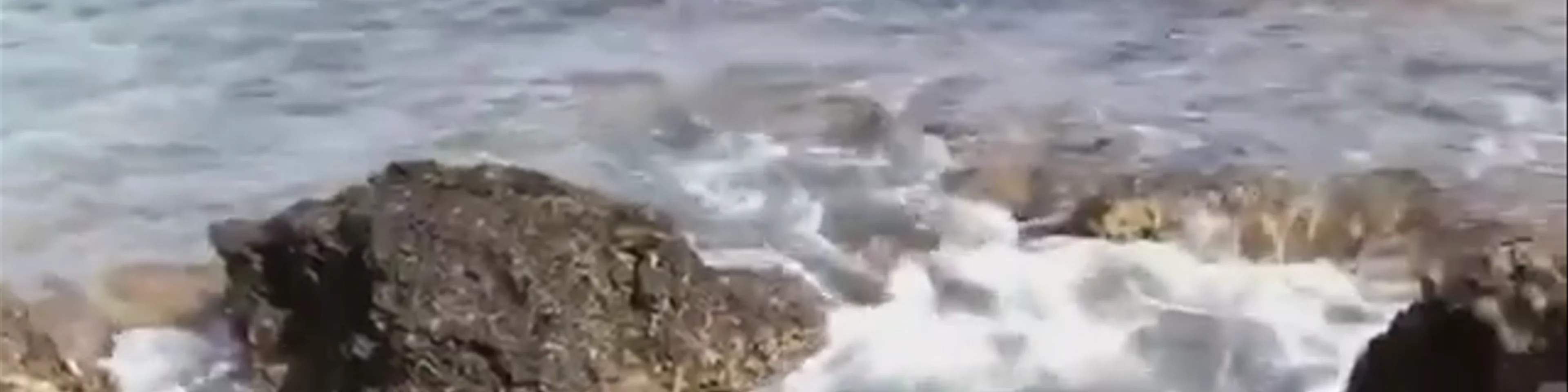 Isla de Lobos
