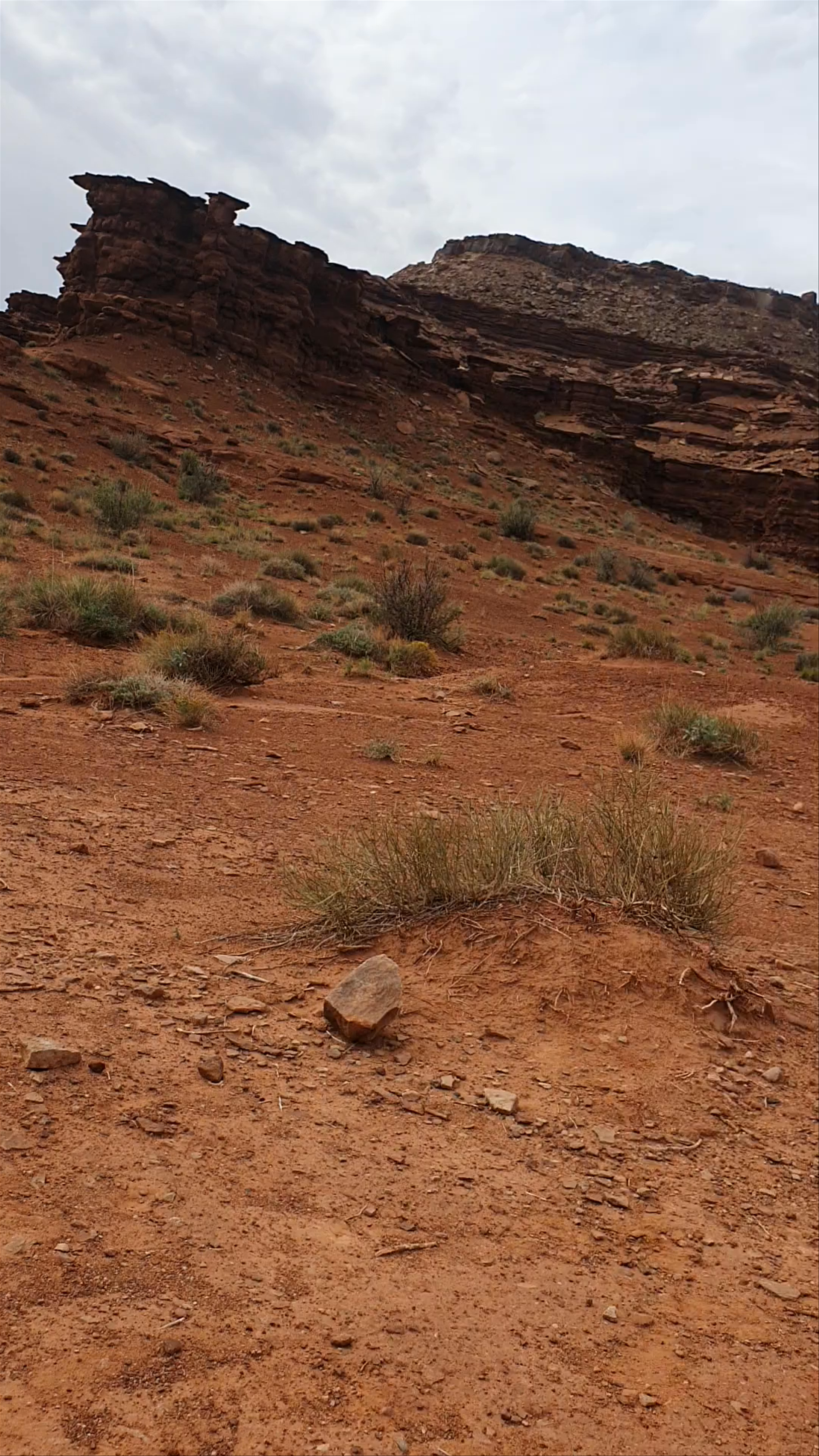 Airport Campground D, White Rim Road