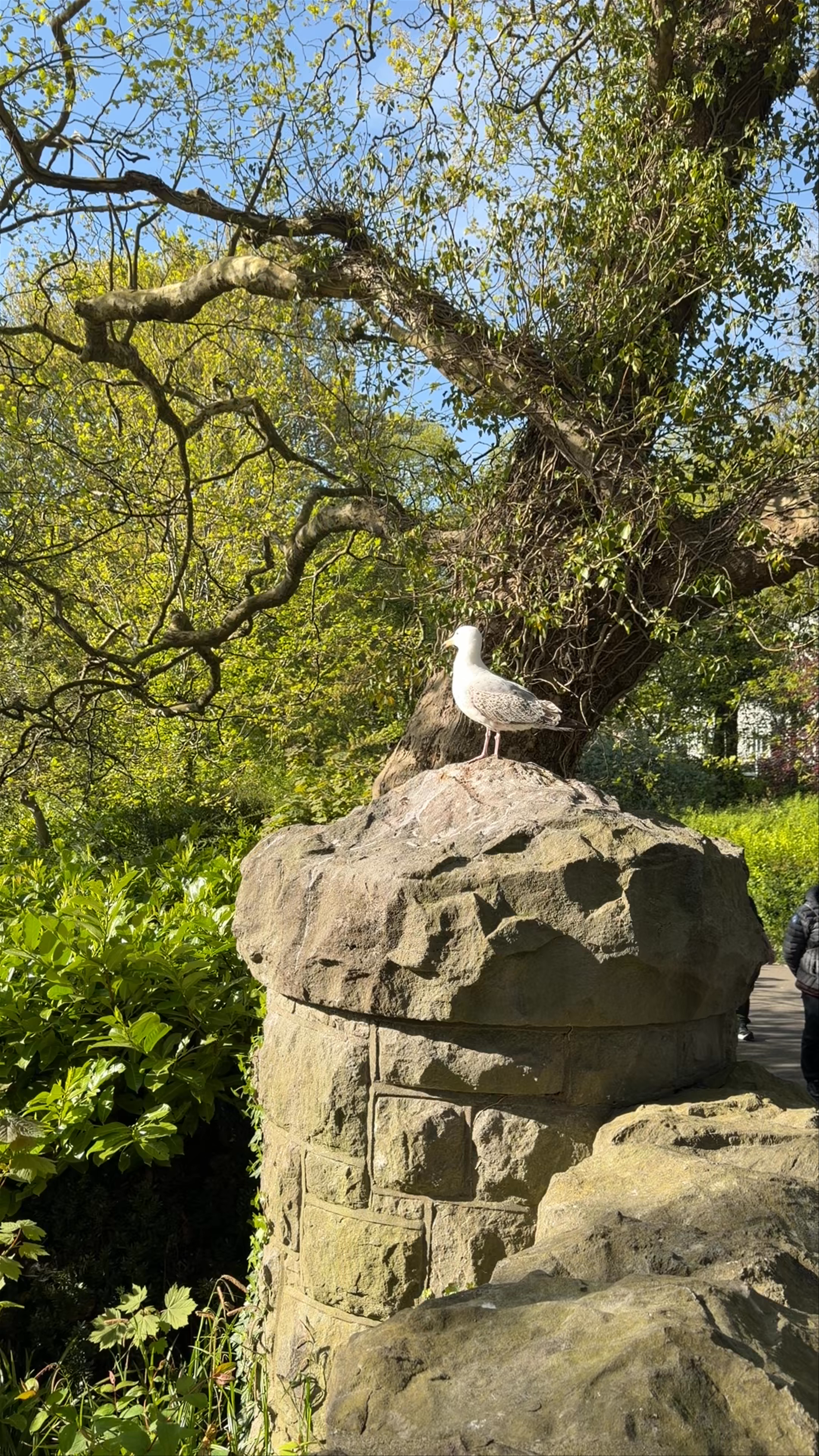 St Stephen's Green