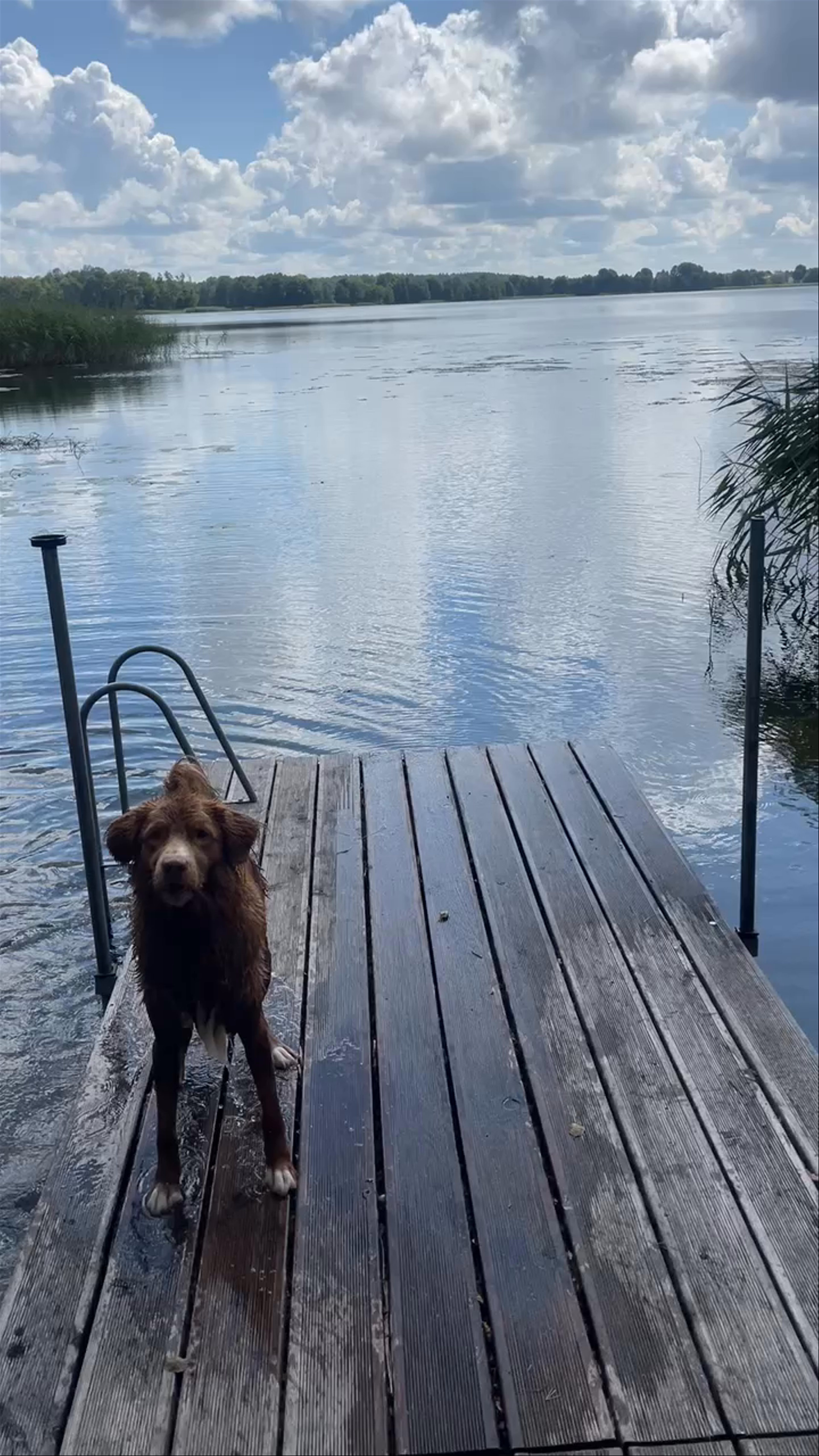 Rykowisko Agroturystyka Kruklanki