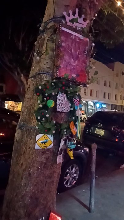 Randa's Market - Memorial - Beer, Wine & Spirits Near Me - San Francisco, California