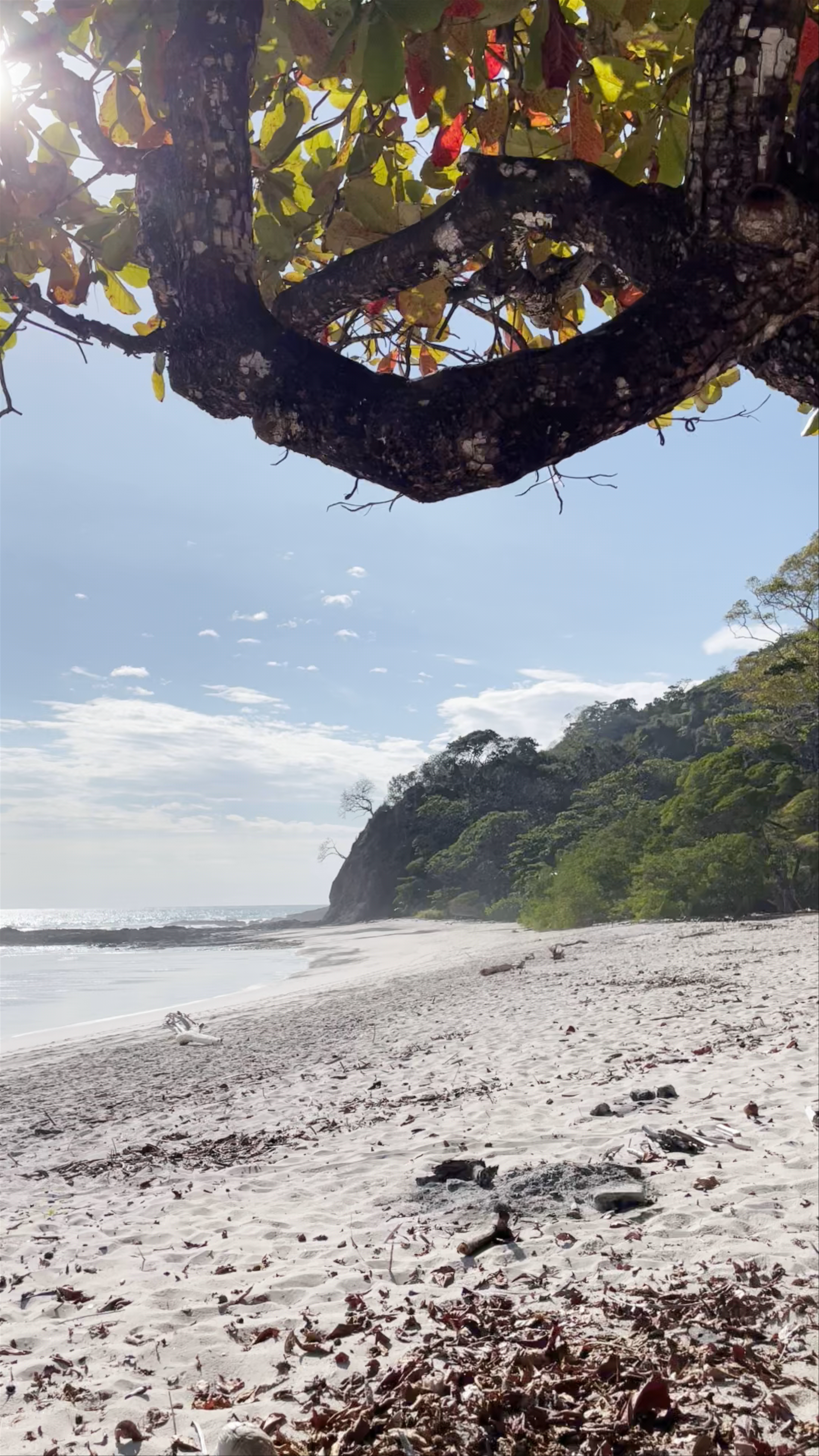 Secluded Serenity at Playa Barrigona, Guanacaste, Costa Rica
