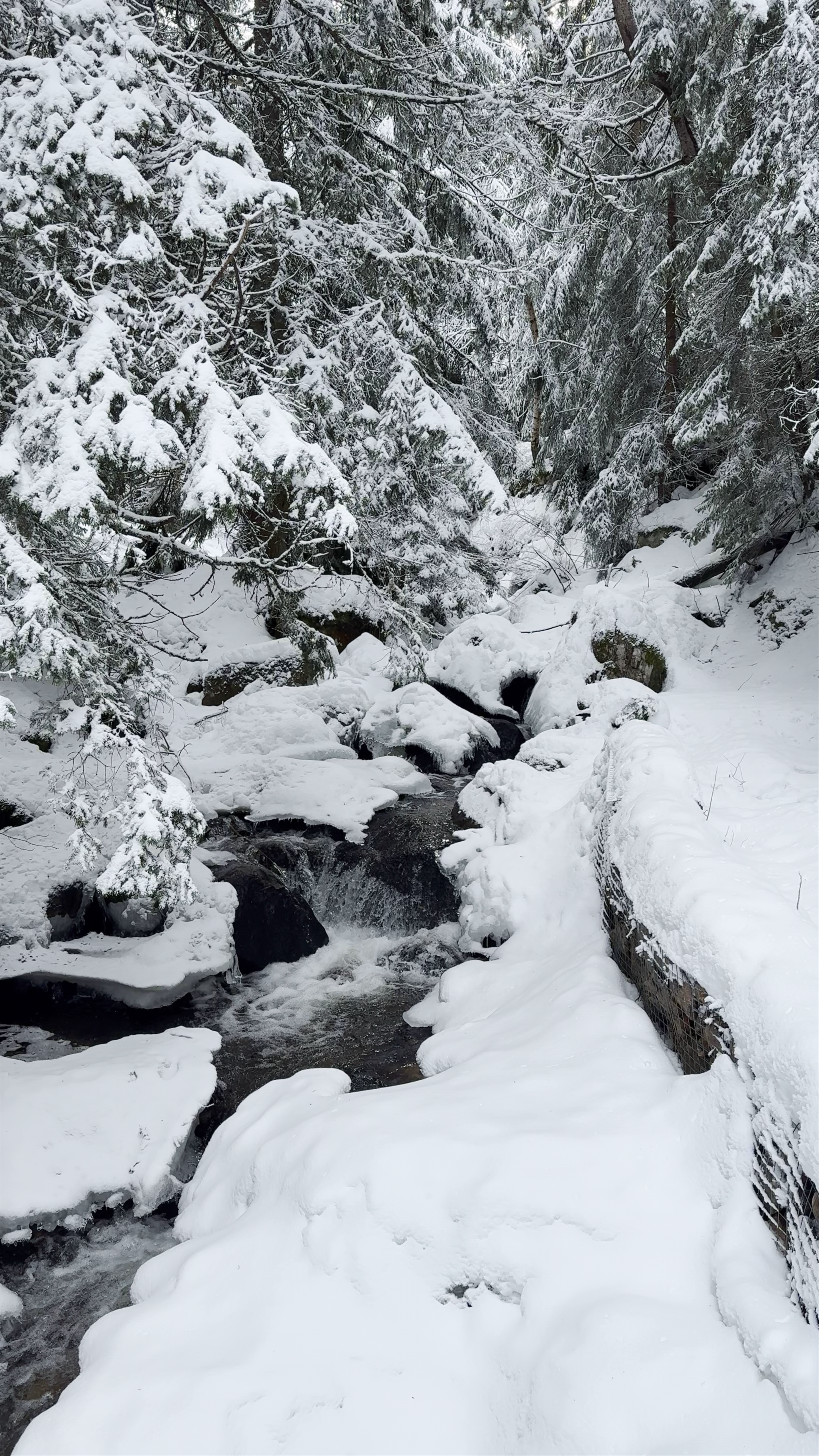 Winter Wonderland at Stone River, Sofia