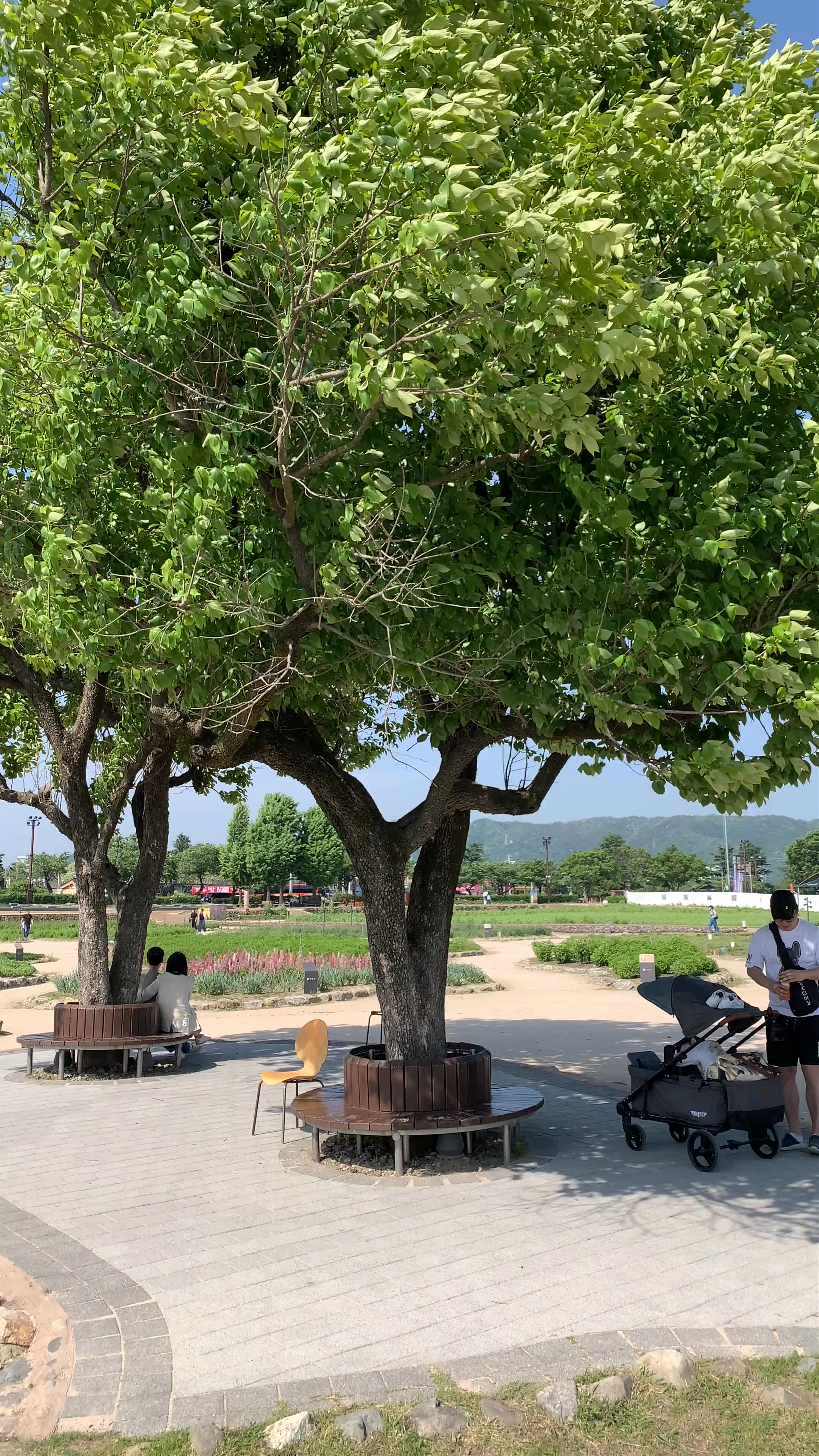 Gyeongju Historic Site: Timeless Beauty in South Korea
