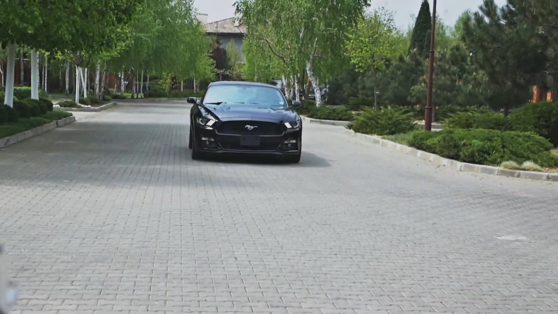 Portfolio clip by Andrey Y., Geneva videographer