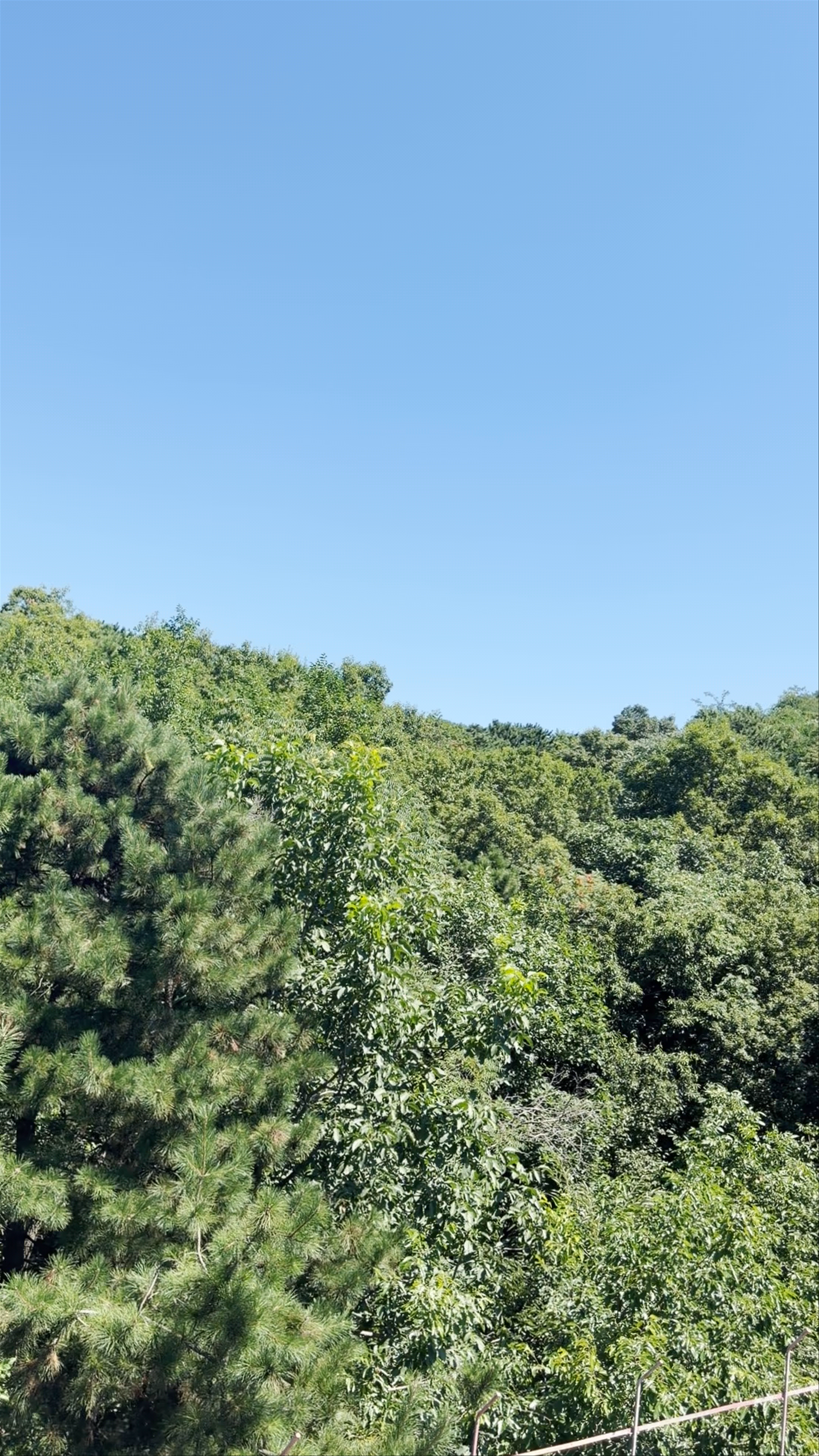 Breathtaking Cable Car Ride Over the Great Wall of China