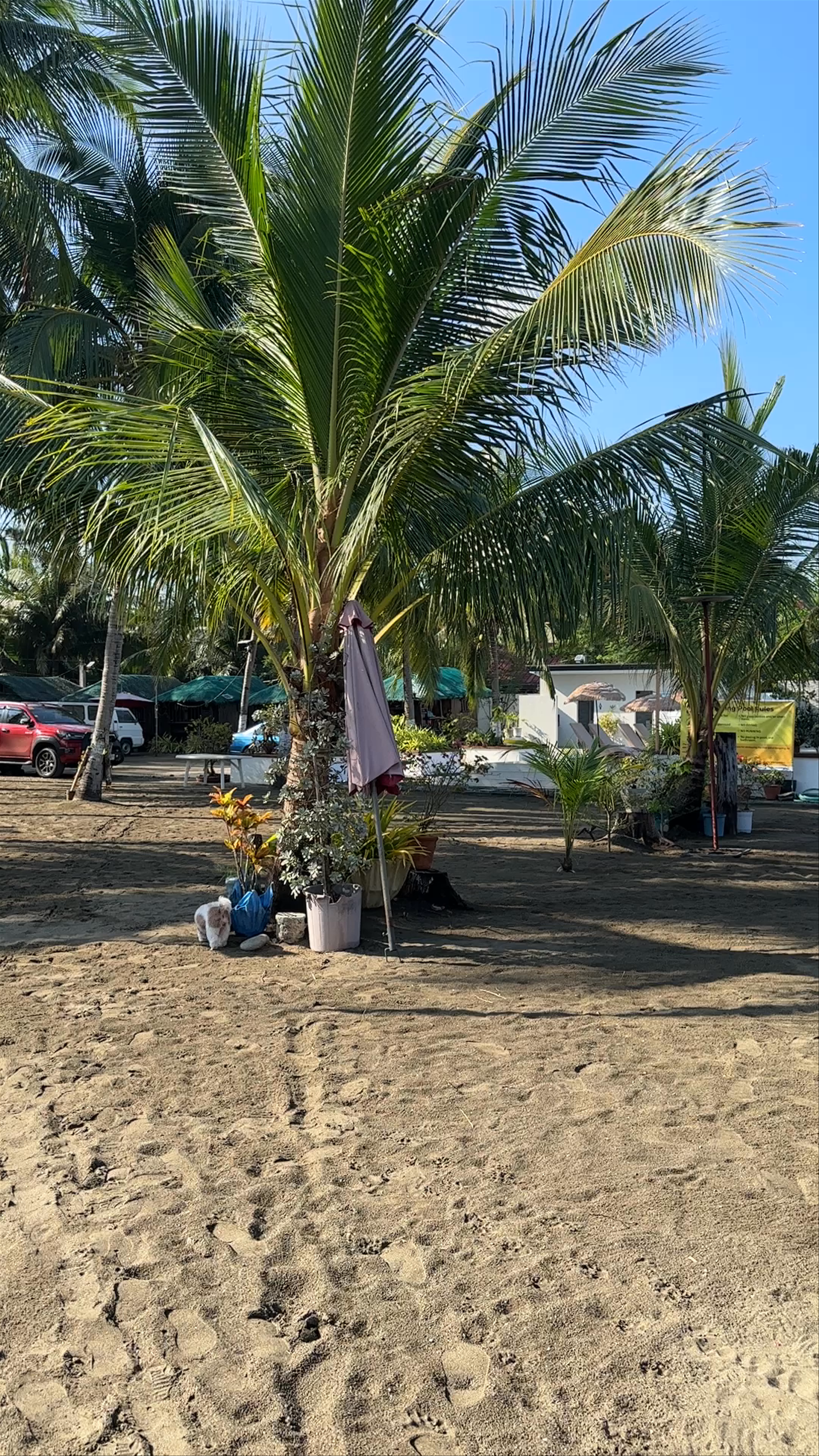 Istana Baylon Beach Resort