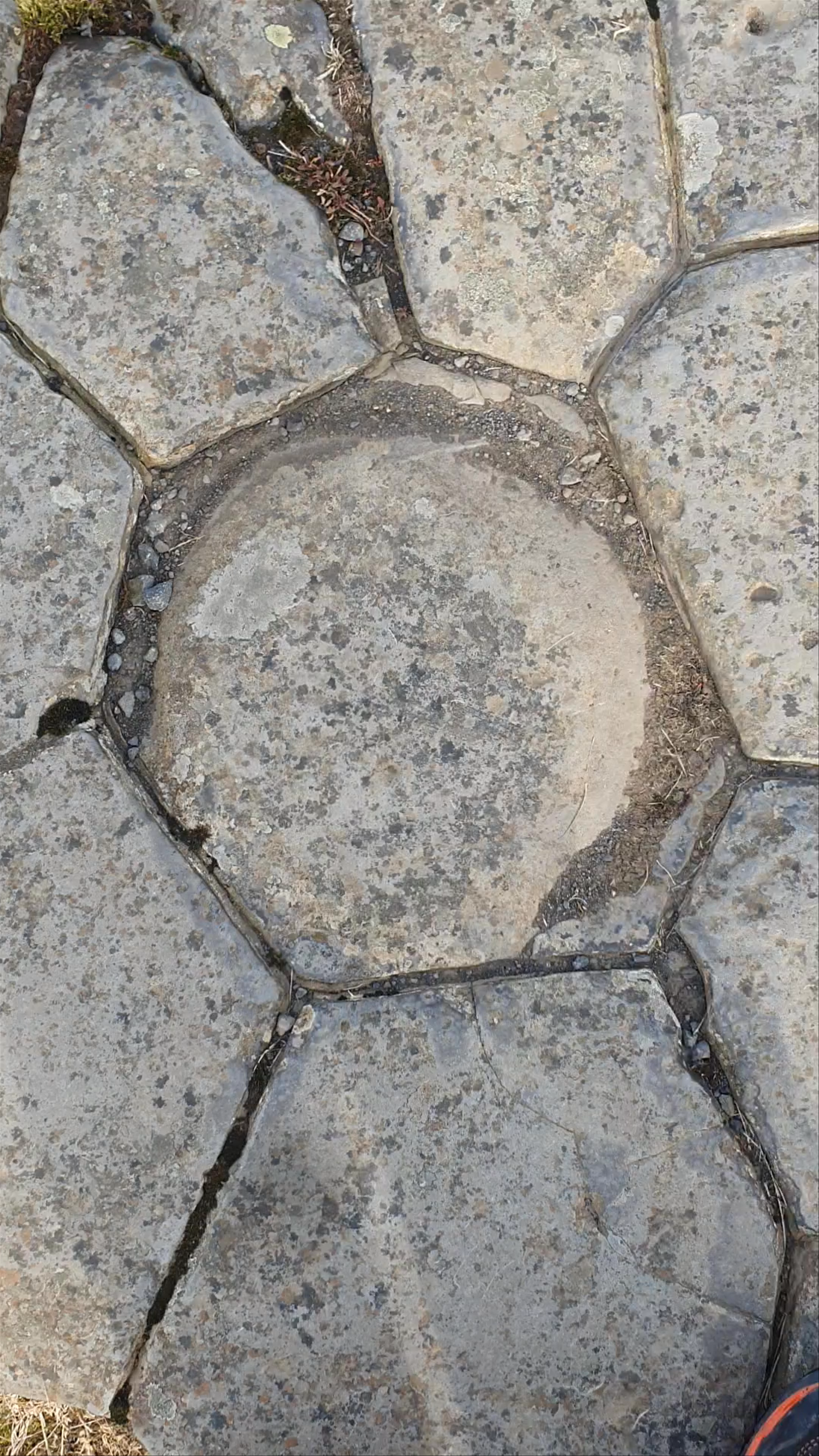 Kirkjugólf Natural Monument: The Hexagonal Basalt Floor in Iceland