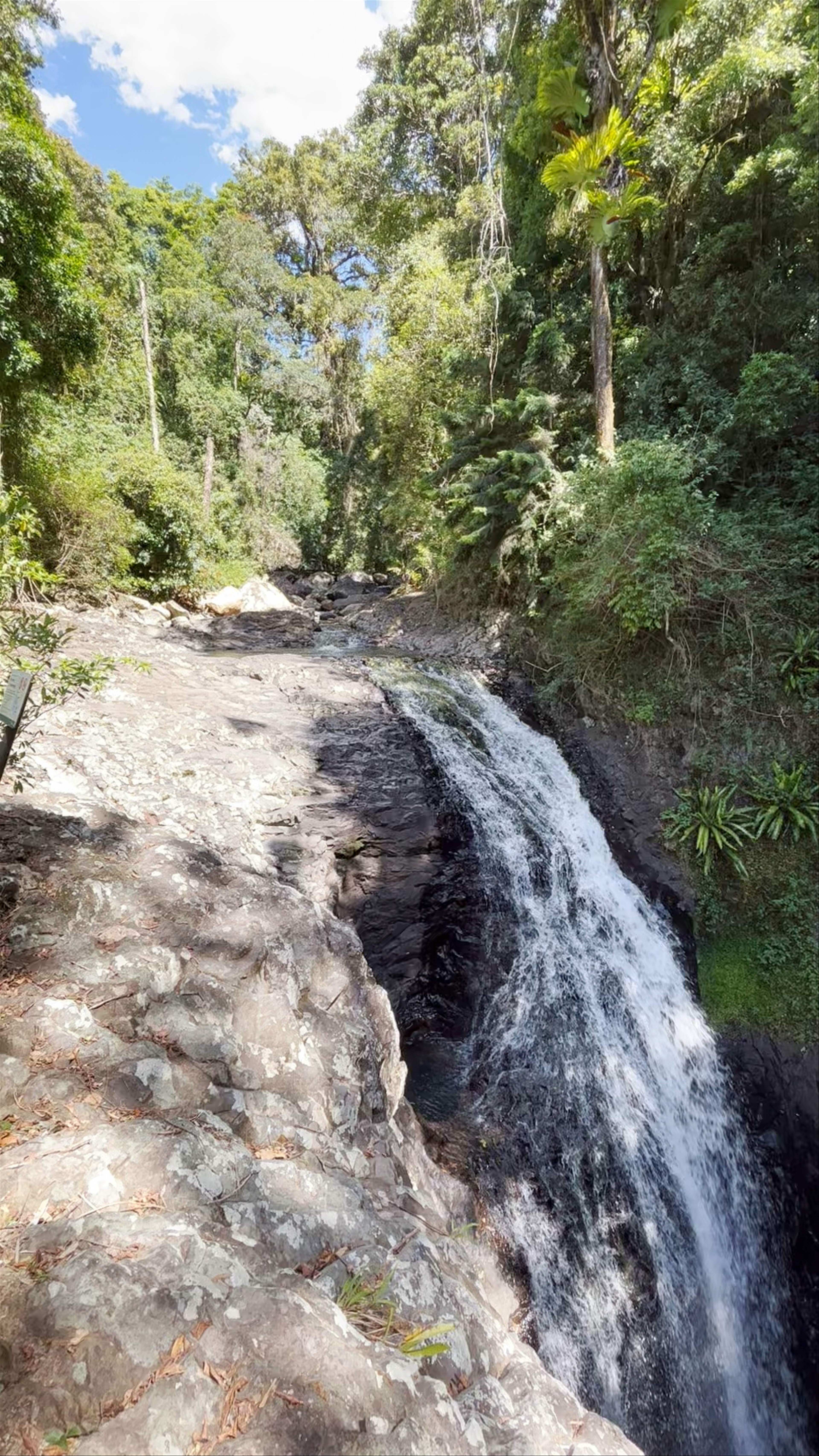 Natural Bridge Waterfall Adventure in Springbrook National Park