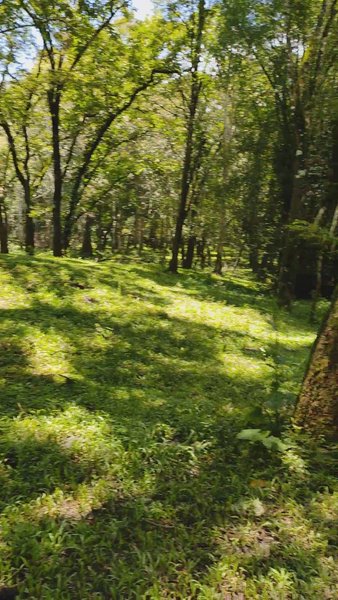 Photo of Periyar Wildlife