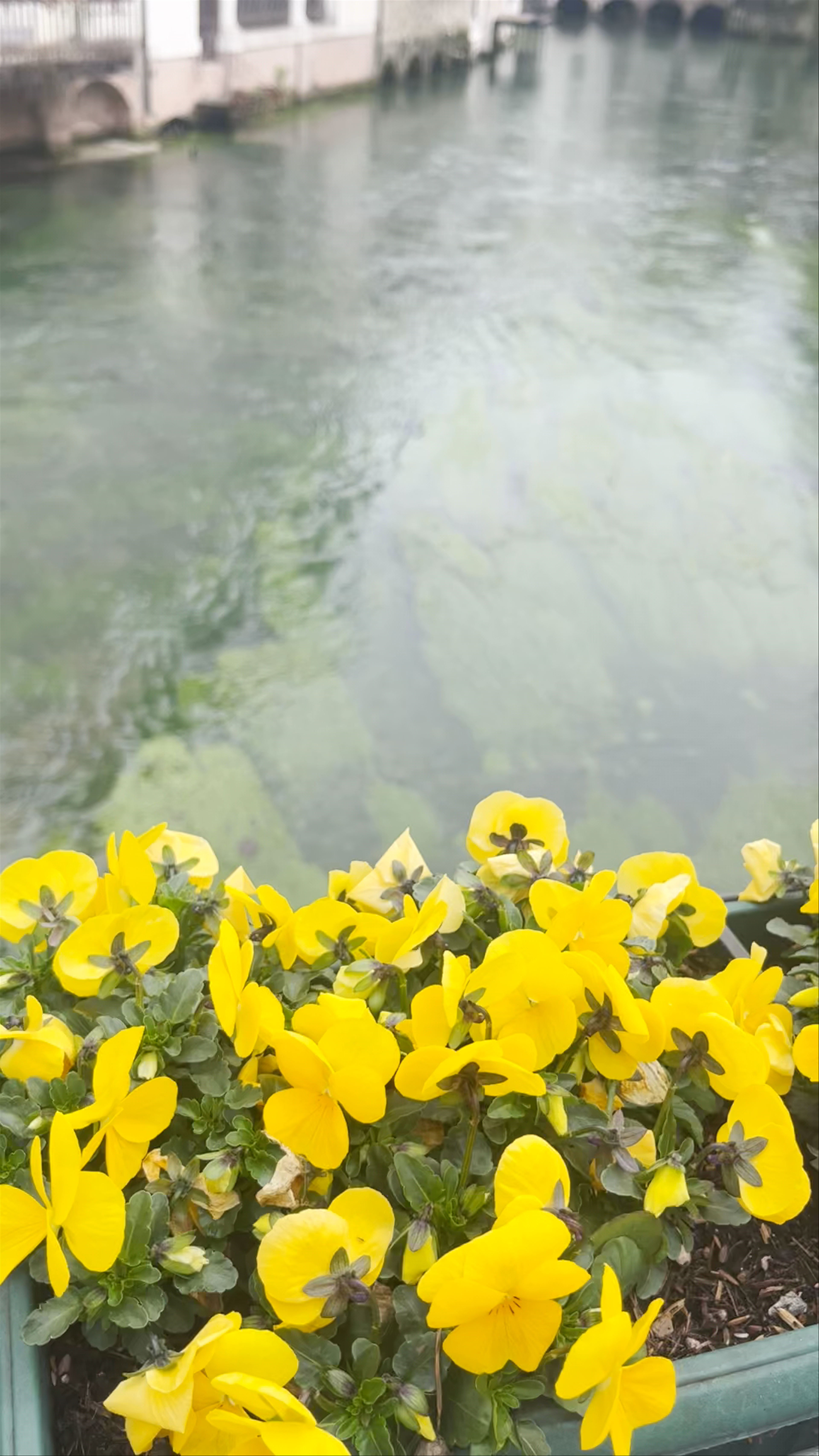 Canale dei Buranelli