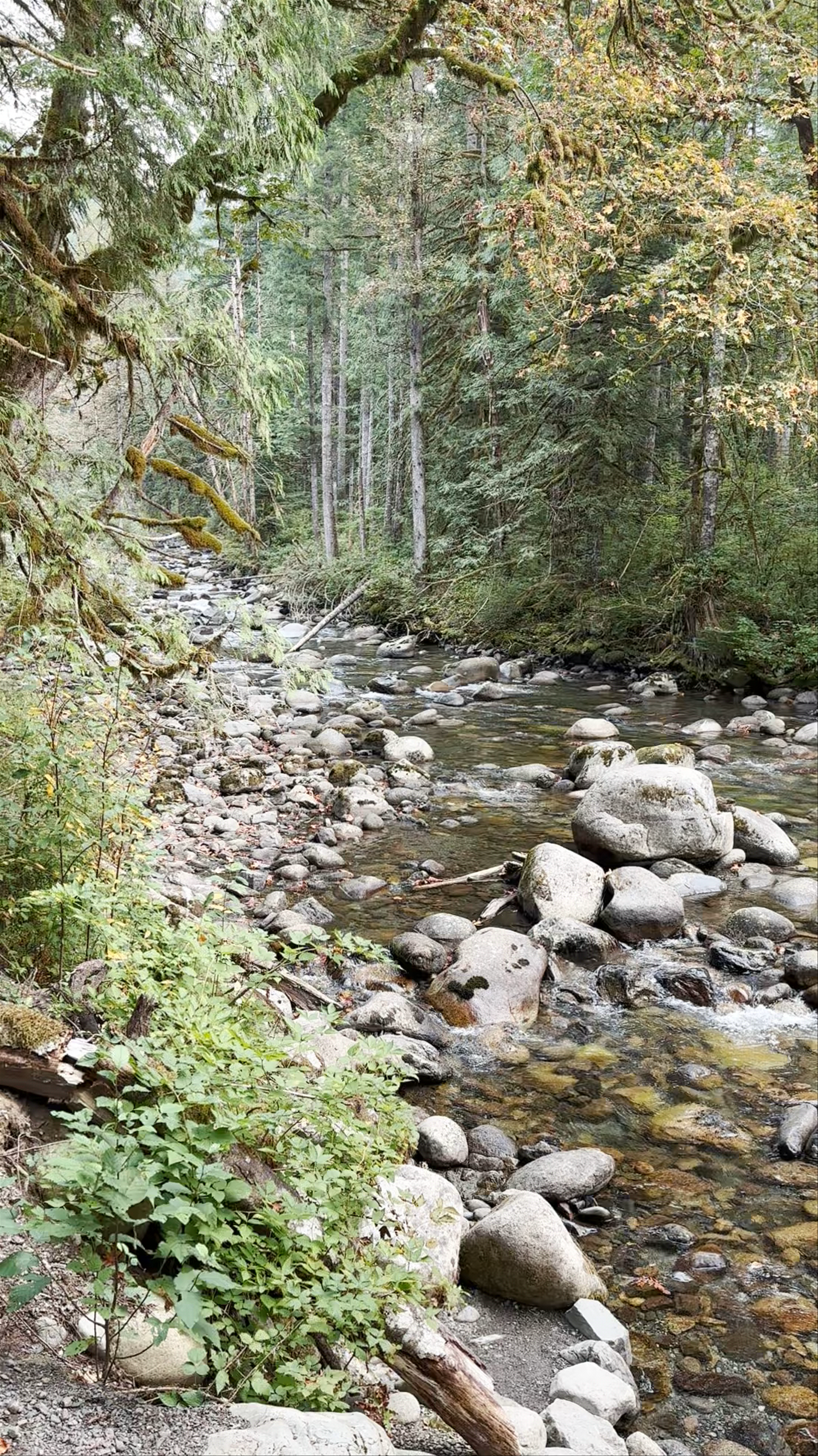 Wallace Falls State Park