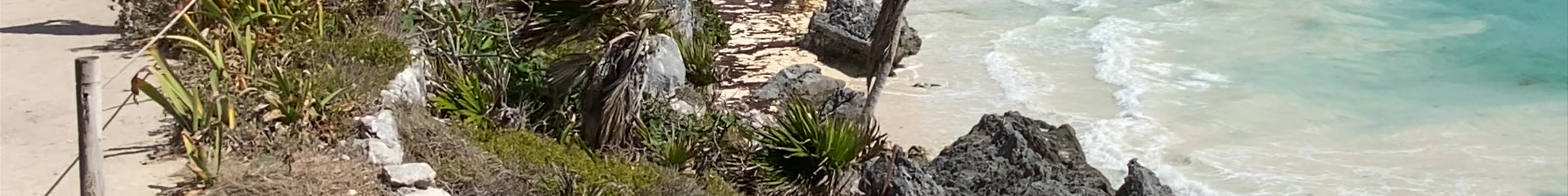 Tours & experiences in Tulum