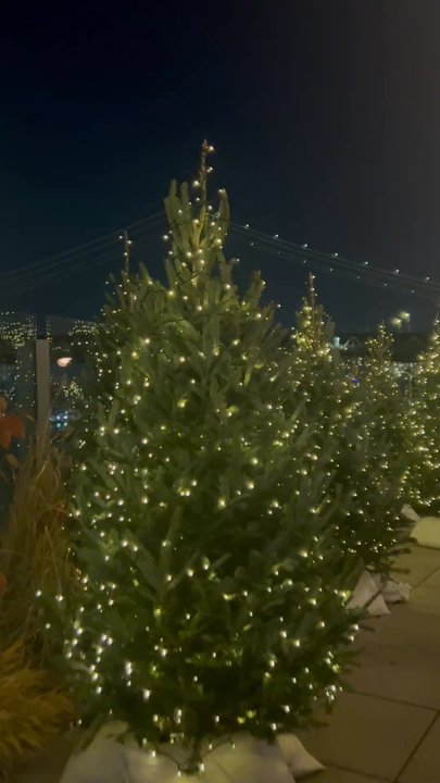 Dumbo House - Rooftop - Social Clubs Near Me - Brooklyn, New York