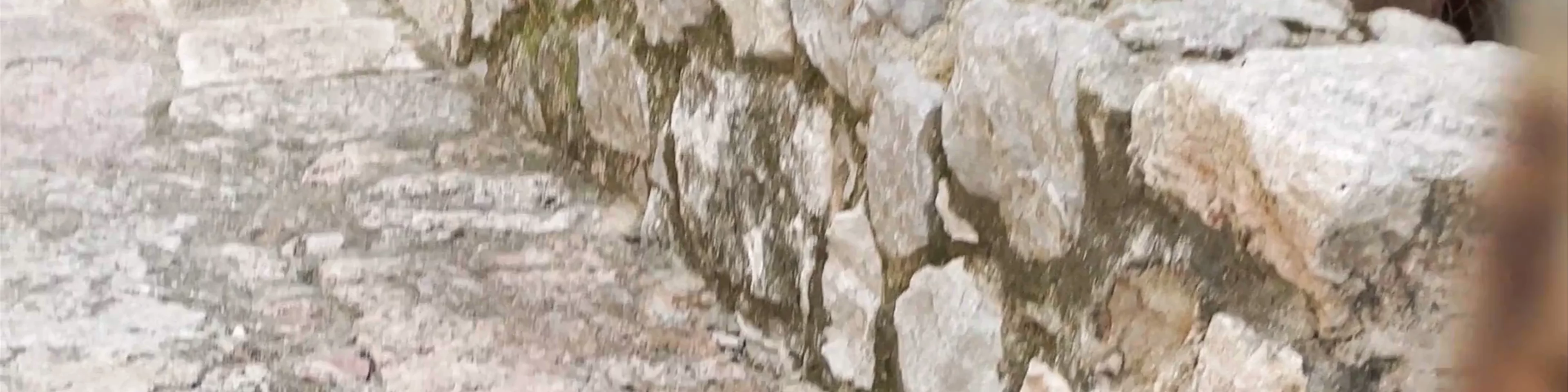 Castillo de los Vélez de Mula