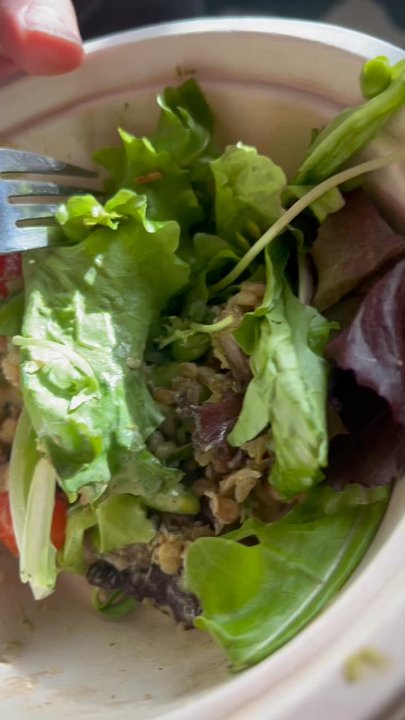 Sage Fresh Eats - Maggots in salad - Salad Near Me - Durango, Colorado