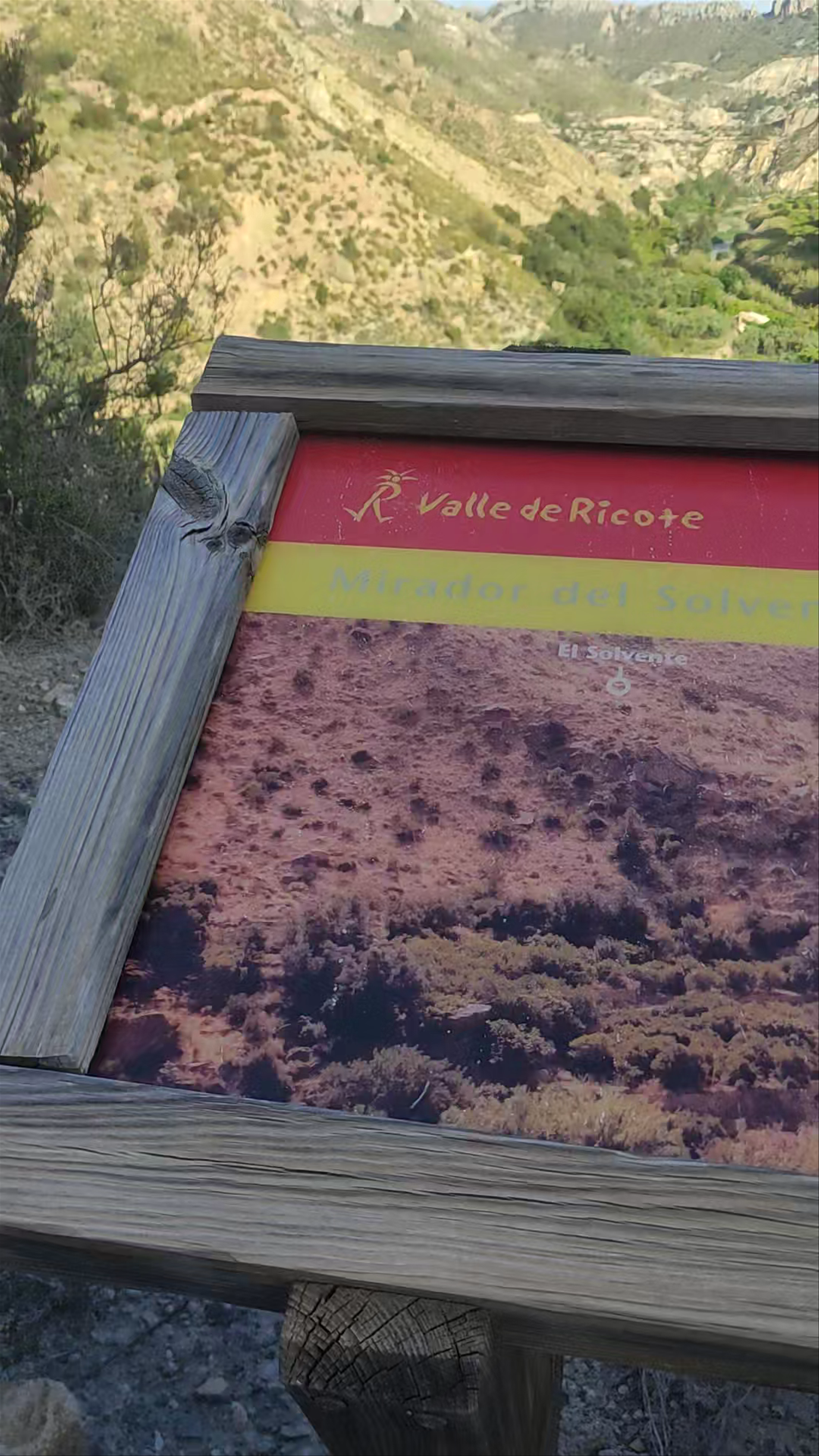 Mirador del solvente