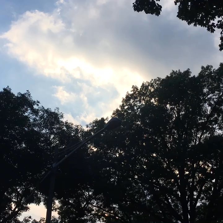 Leonard Gordon Park - Parks Near Me - Jersey City, New Jersey