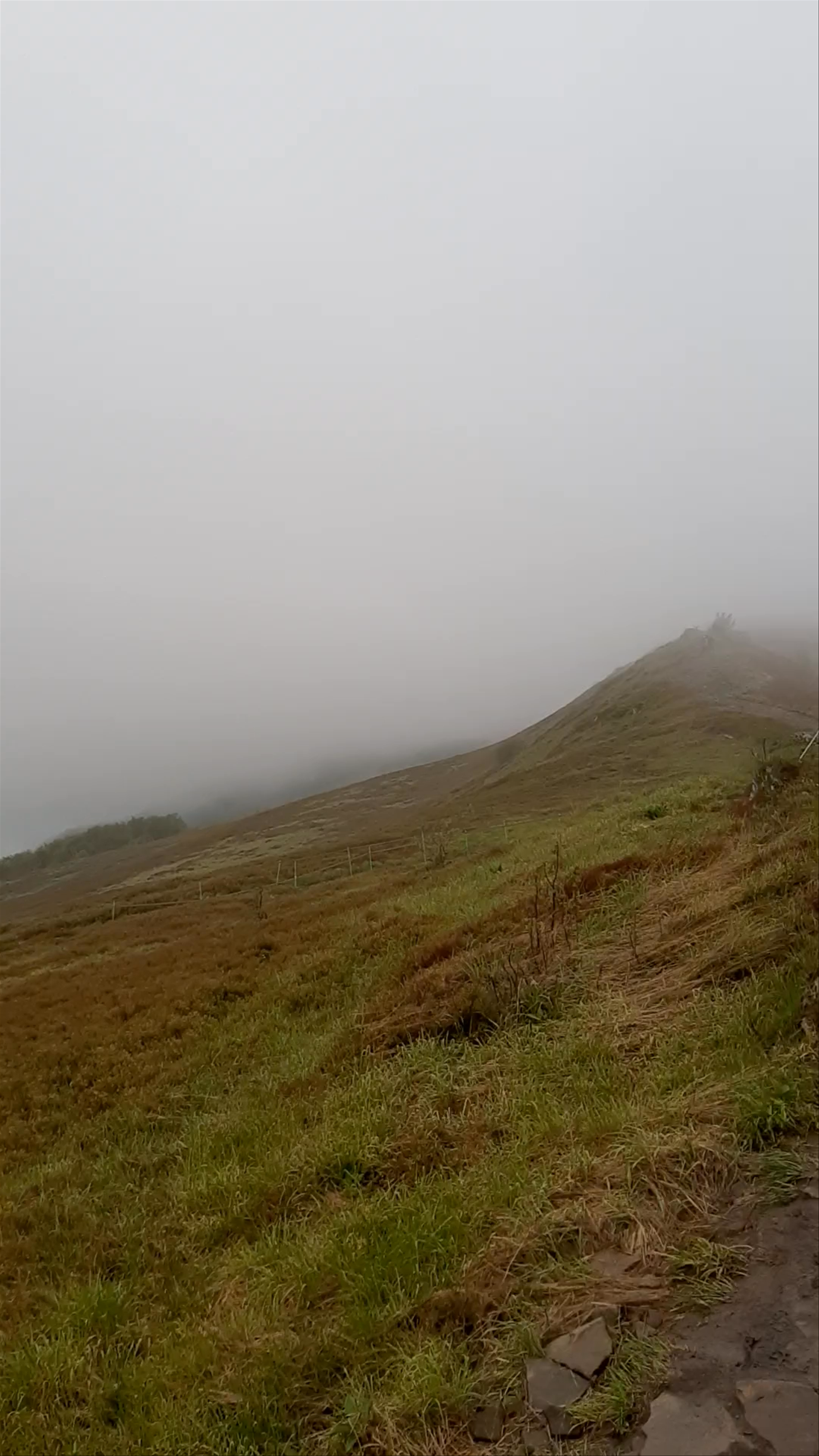 Połonina Wetlińska