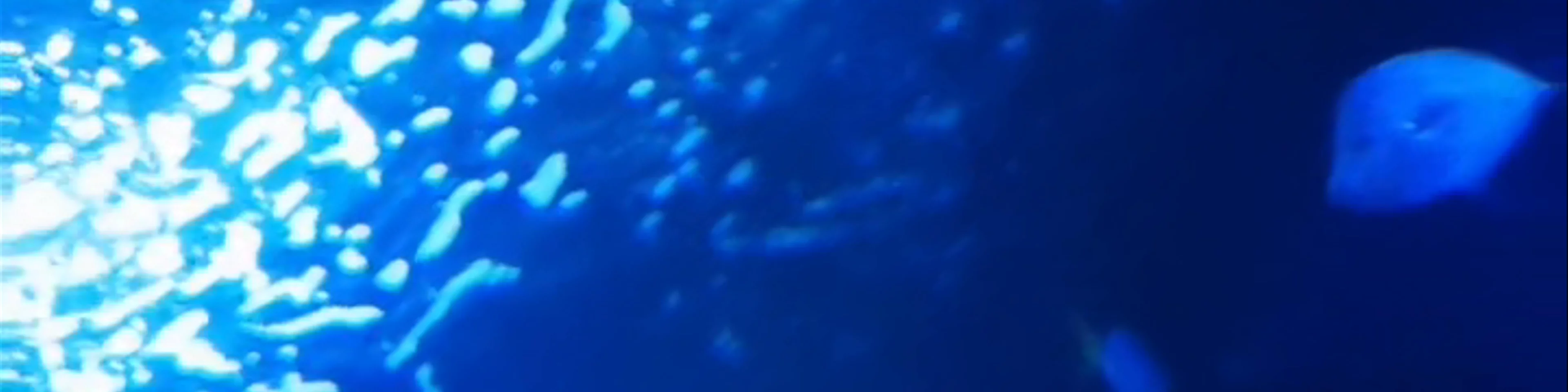 Oceanogràfic