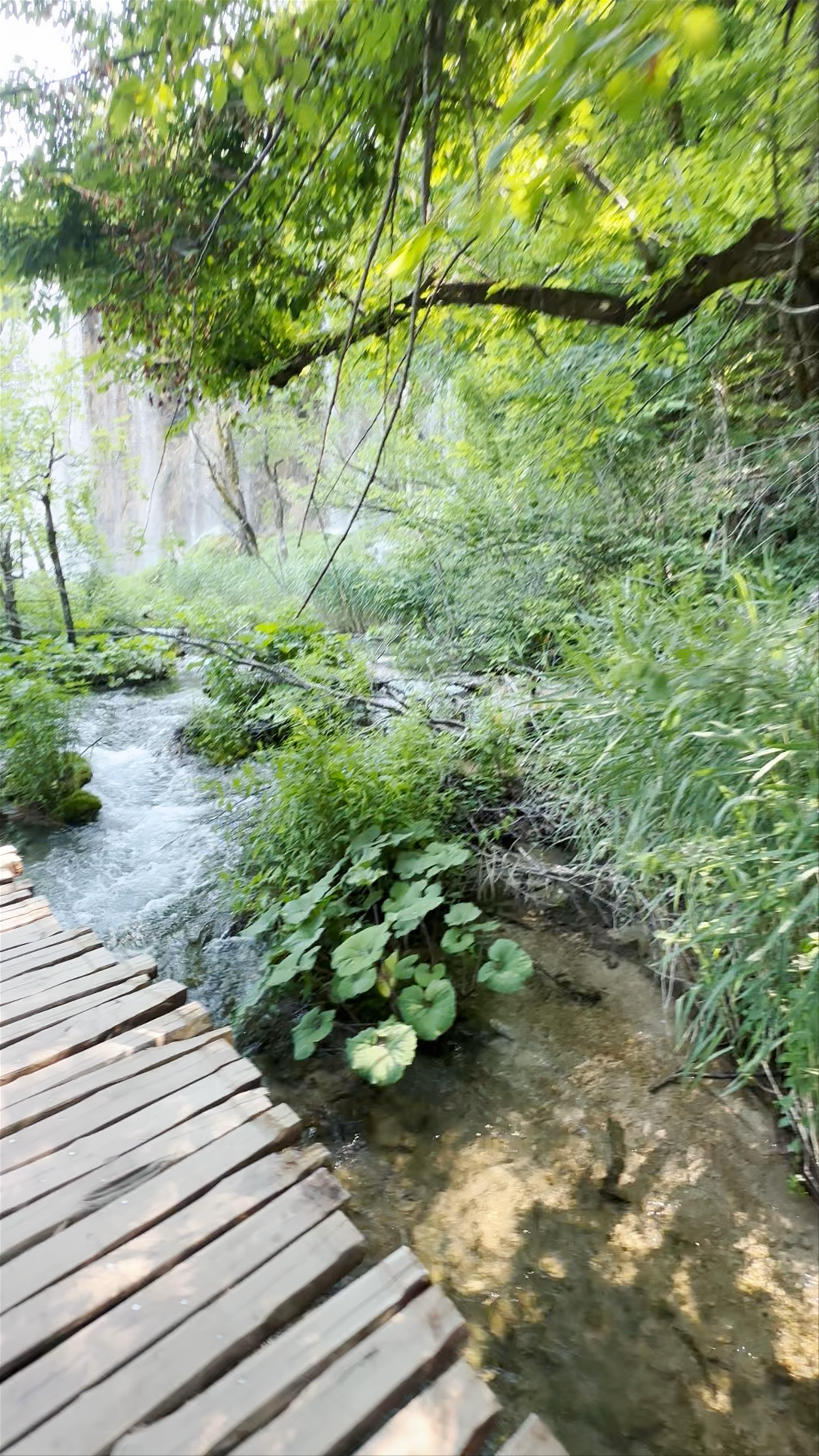 Enchanting Green Trails at Plitvice Lakes Panoramic Train Station ST3