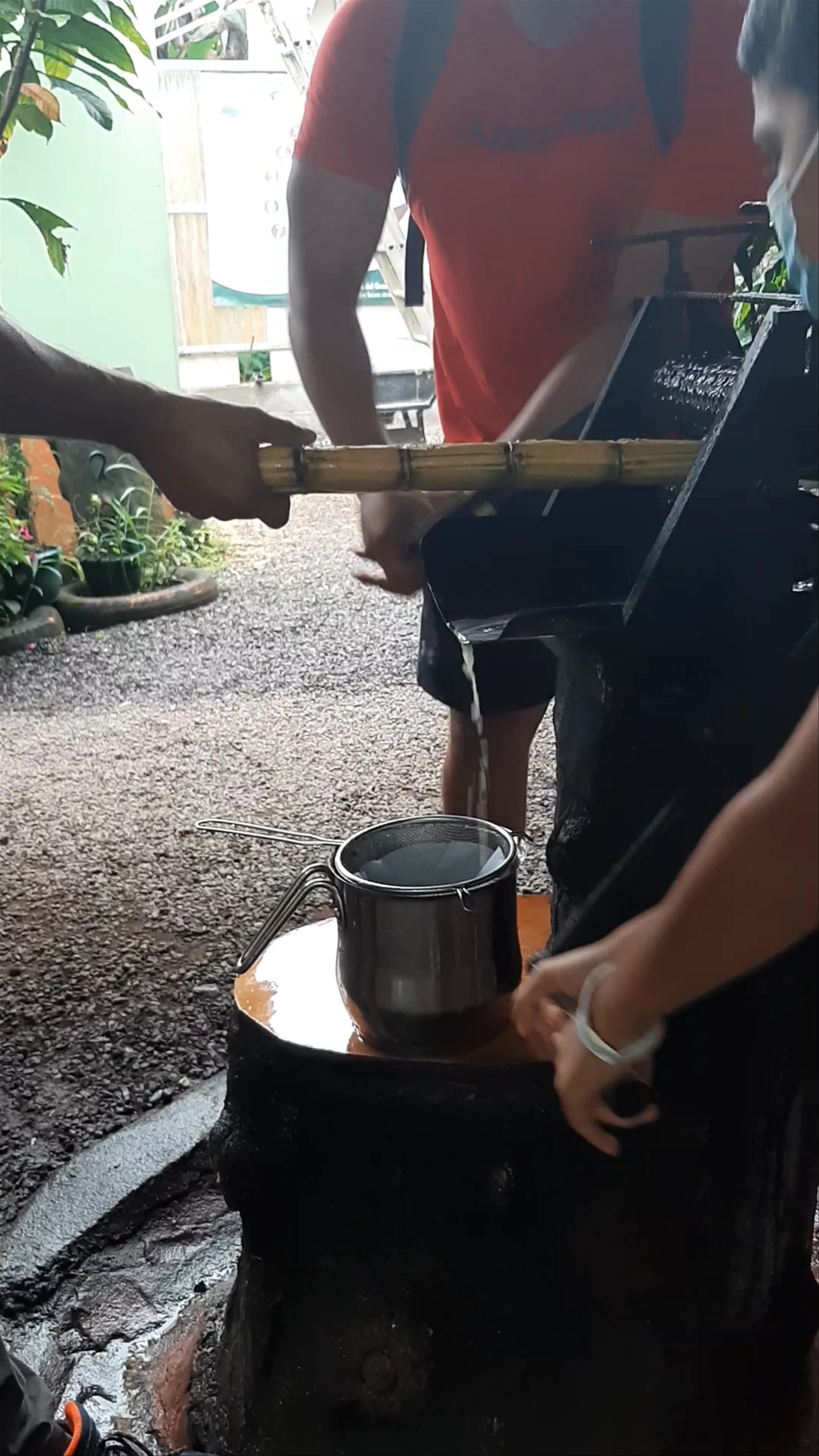 North Fields Coffee Tour, Zeta trece, San Carlos
