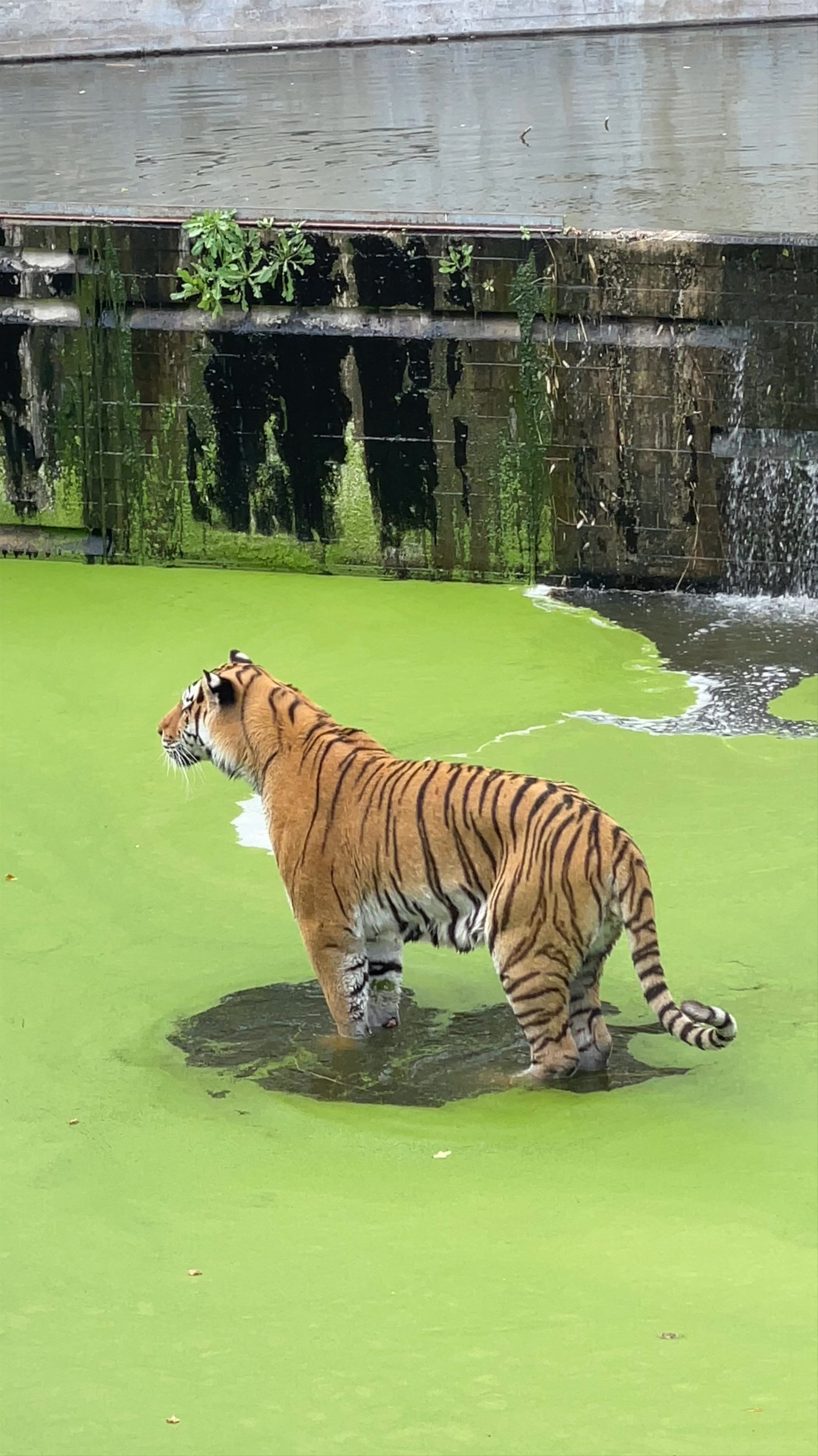 Zoo