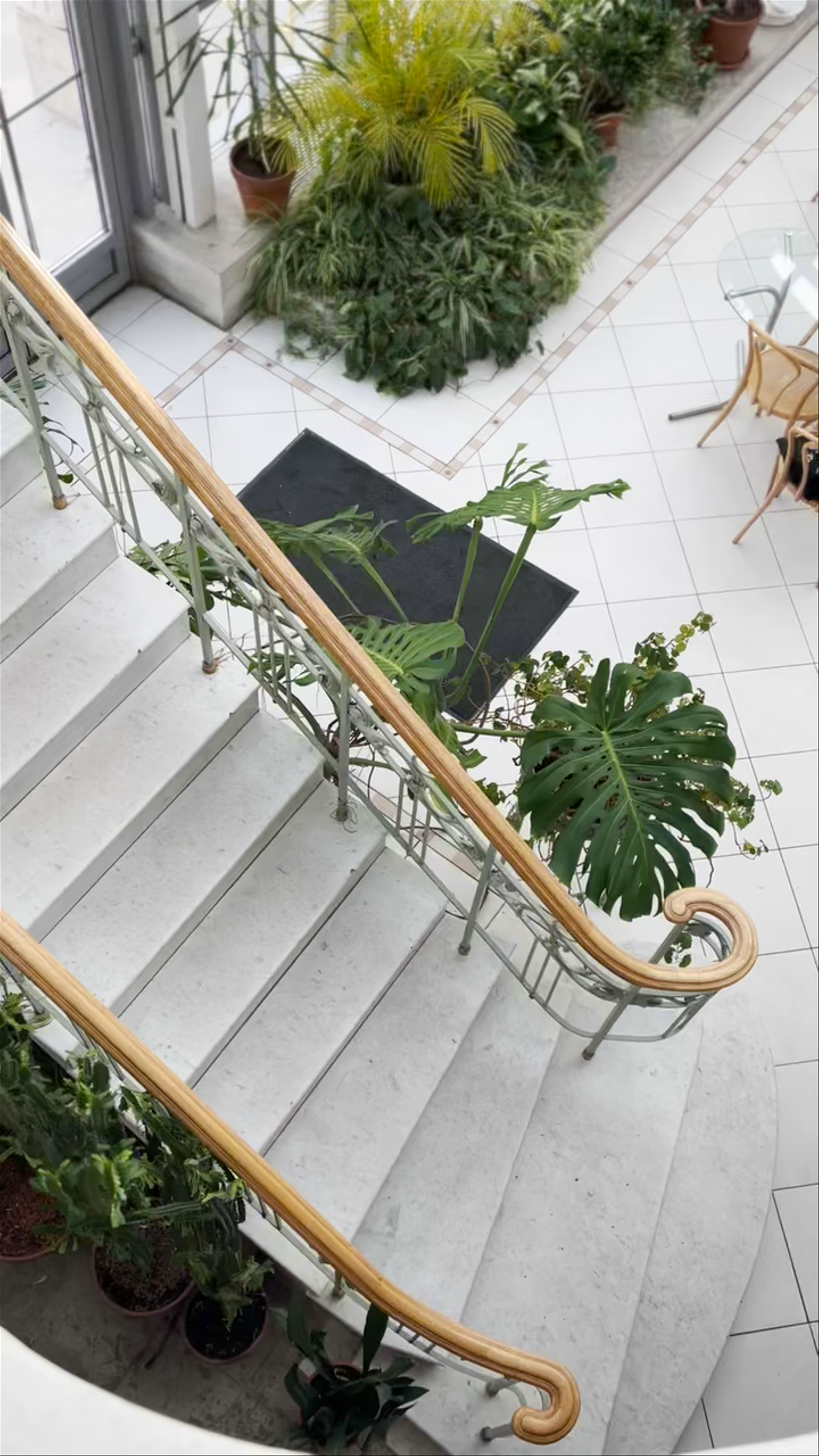 Banquet hall Café "Orangerie"