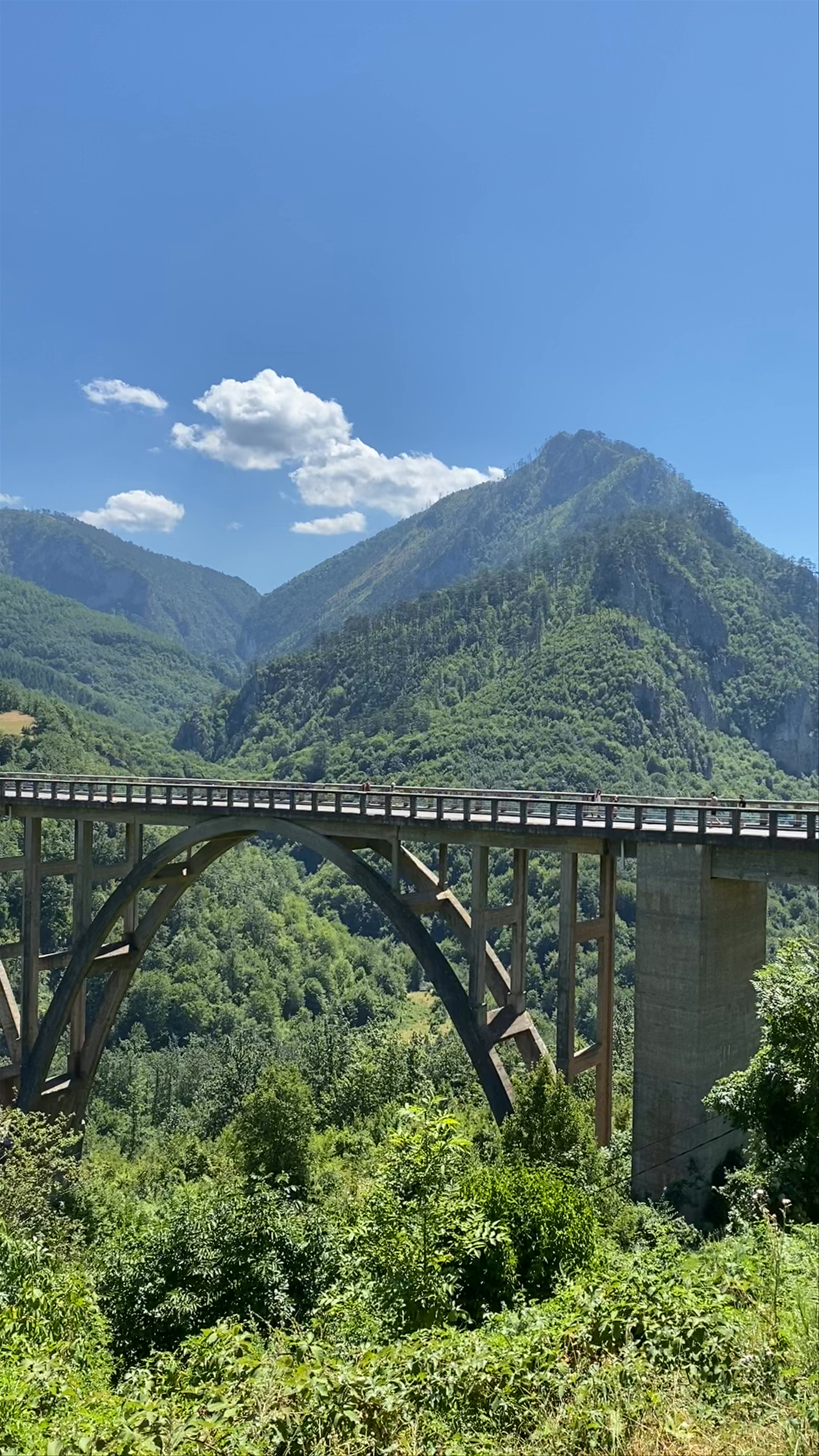 Đurđevića Tara Bridge