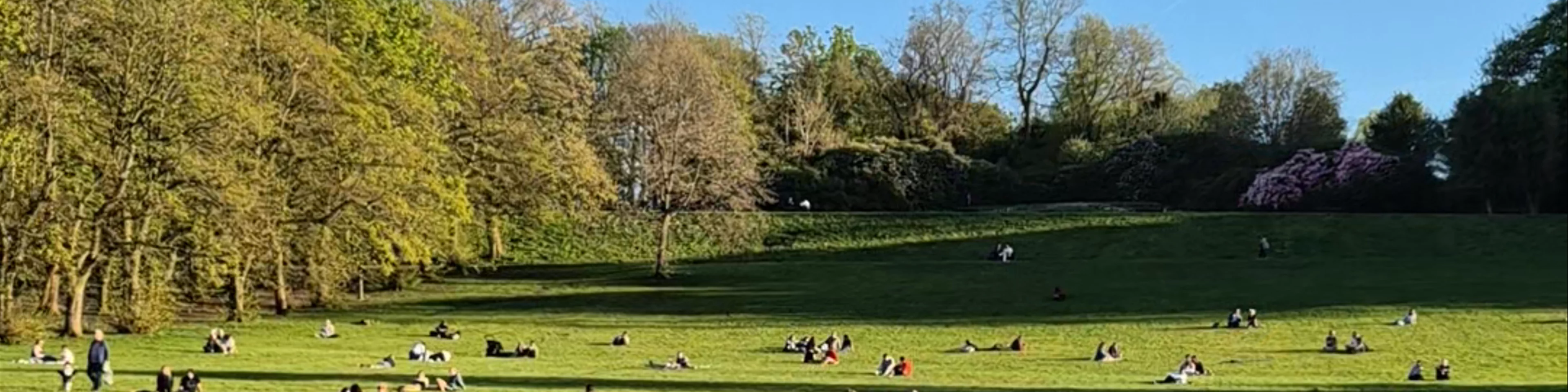 Queen’s Park